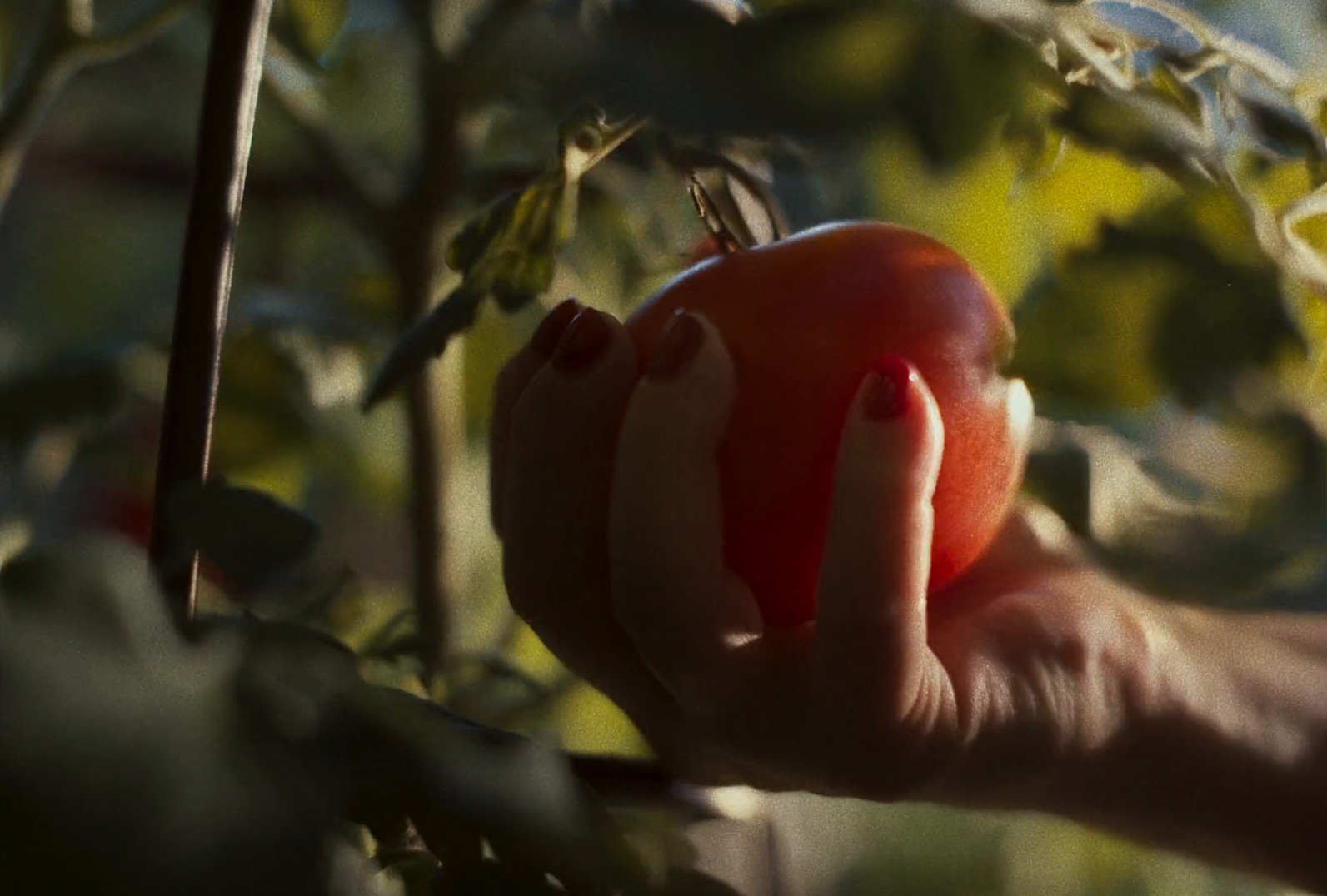 SCOTIABANK "BANK MORE LIFE" (2024) —  shot,  lighting