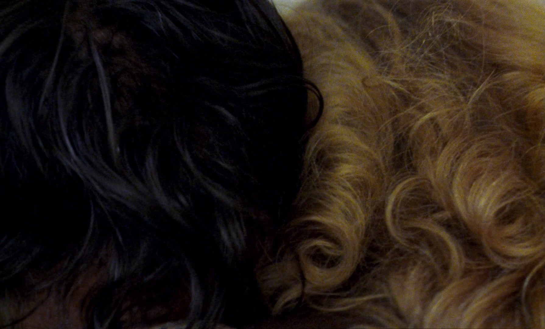 The Brown Bunny (2003) —  shot,  lighting