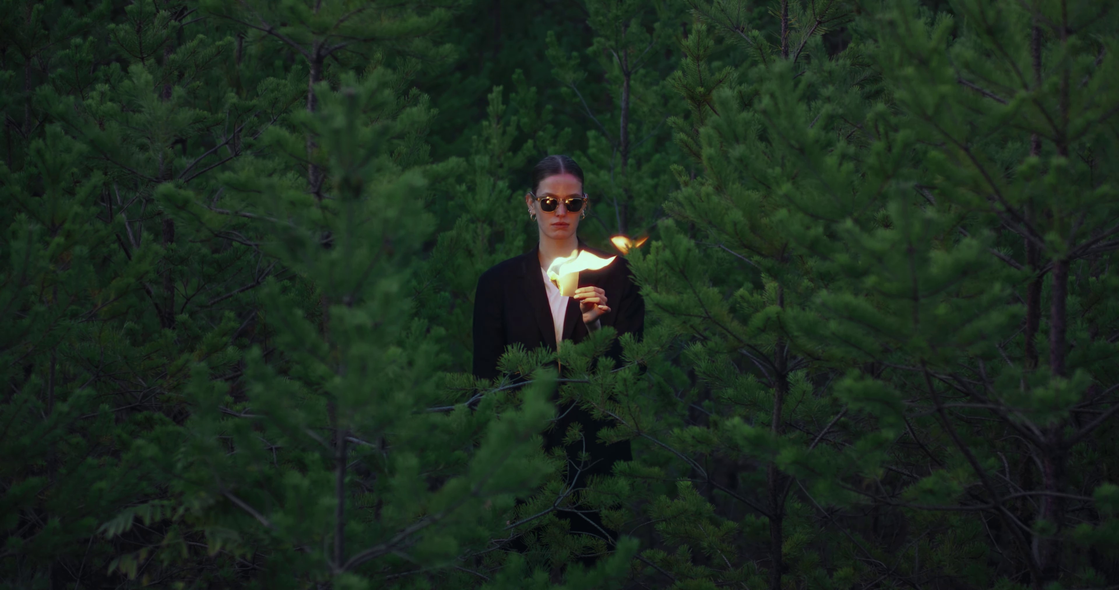 Violet drive (2022) —  shot,  lighting