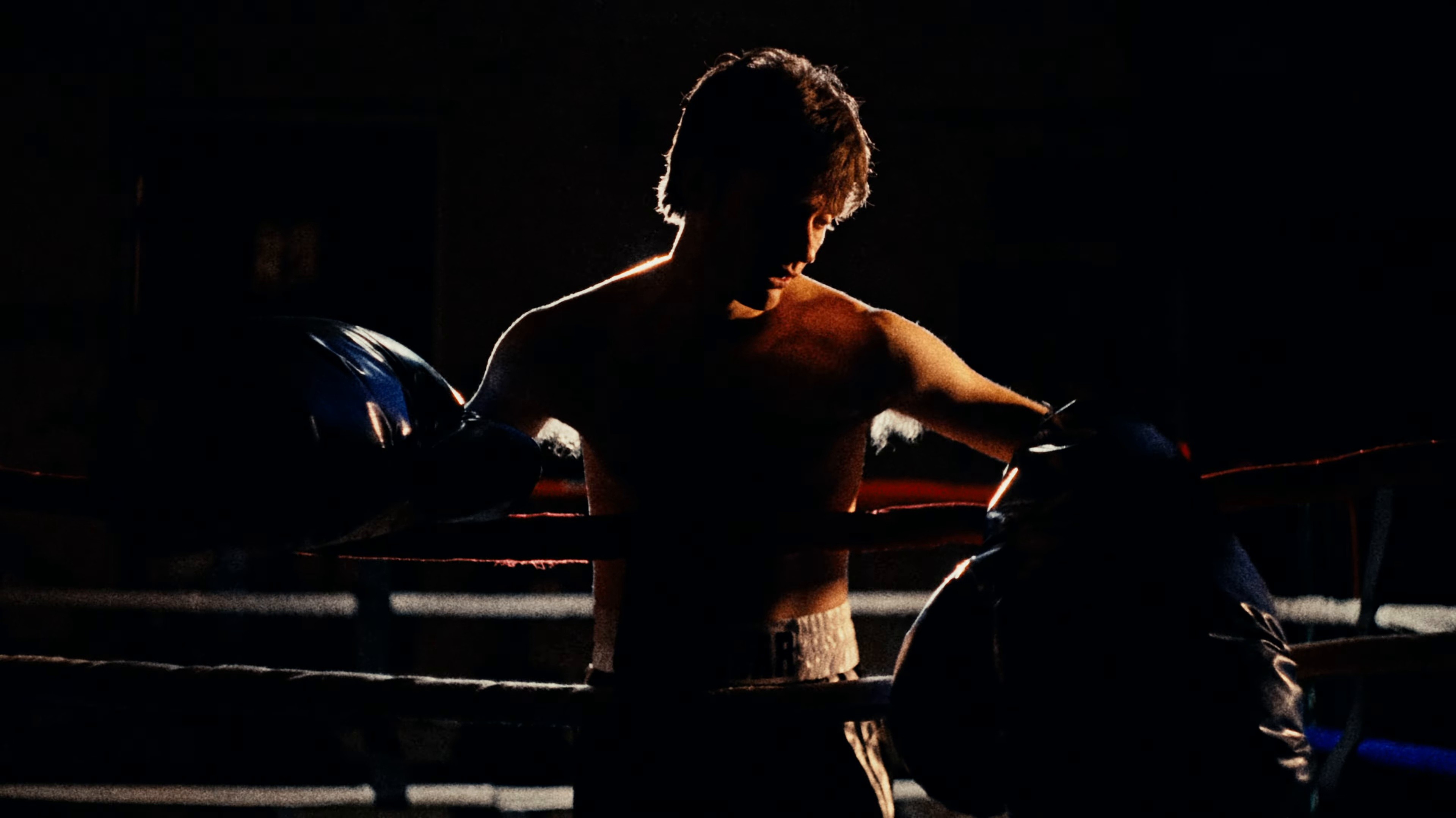 Death Punch (2026) —  shot,  lighting