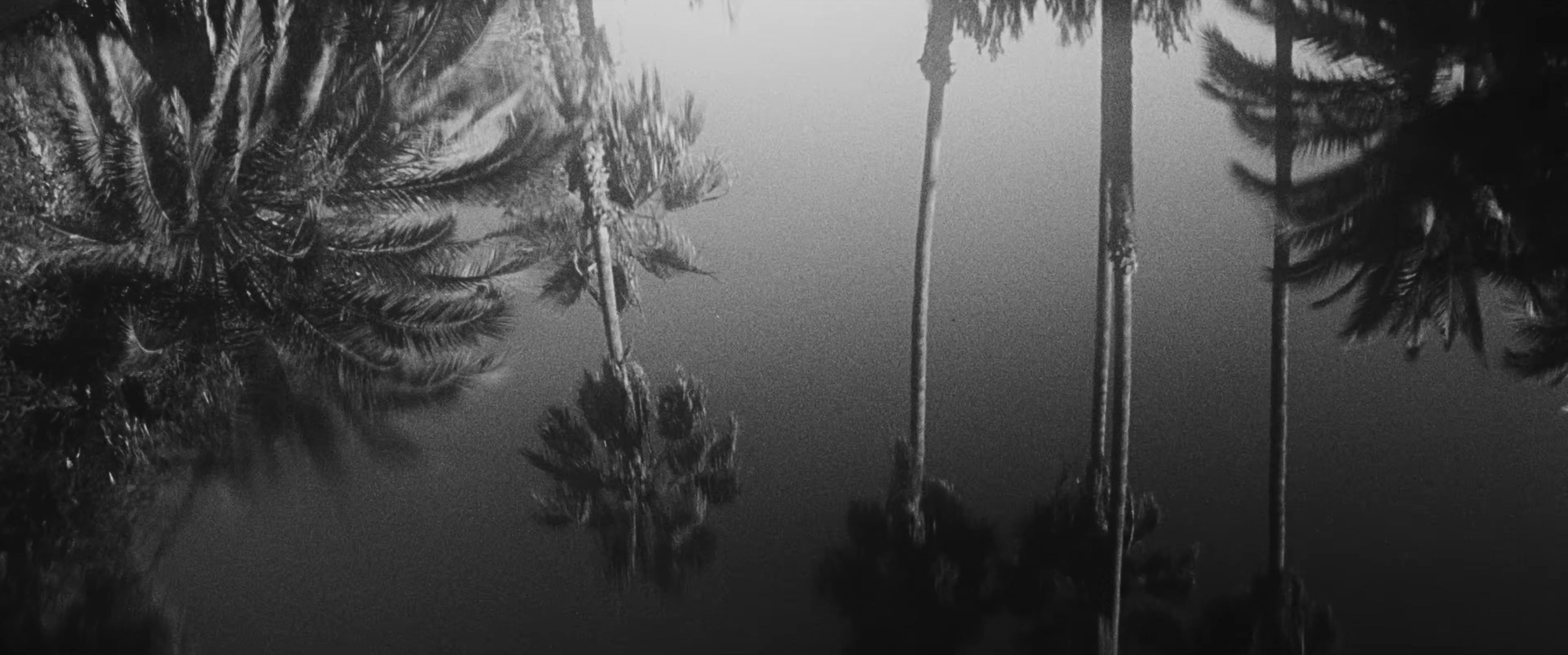 New Wave America (2025) —  shot,  lighting