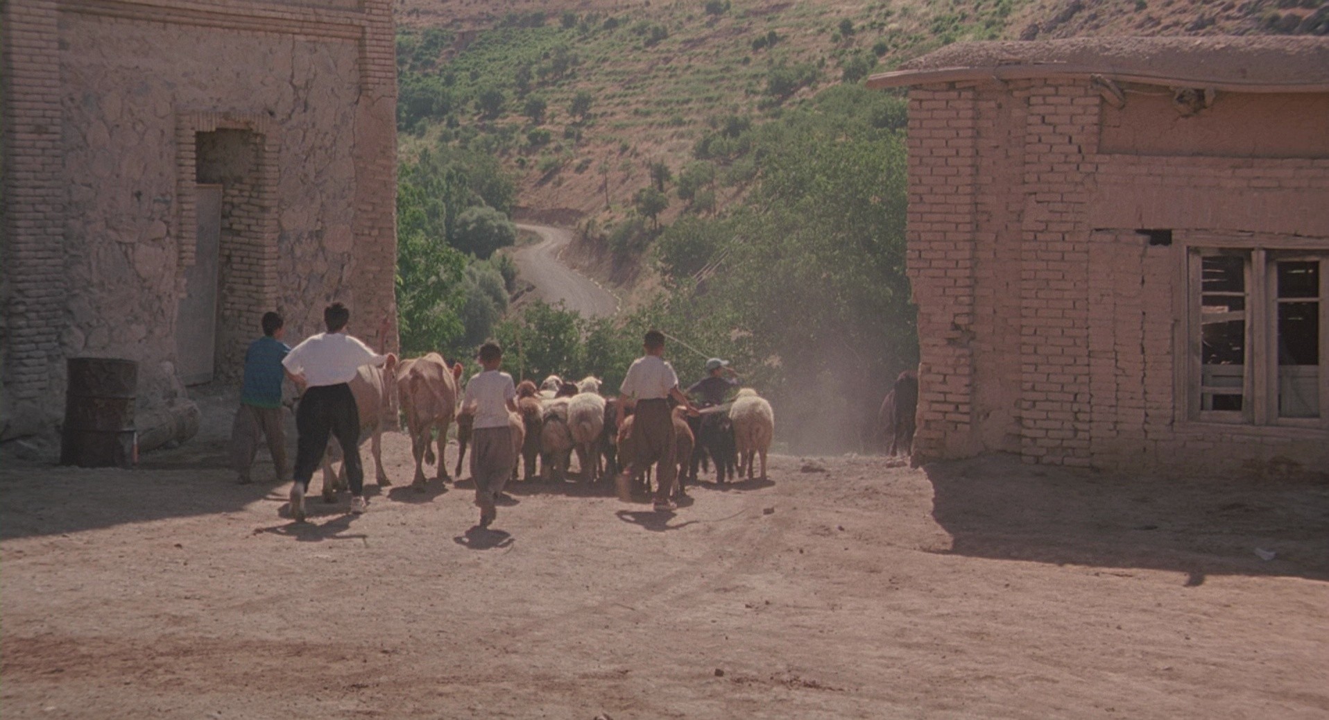 The Wind Will Carry Us (2000) —  shot,  lighting