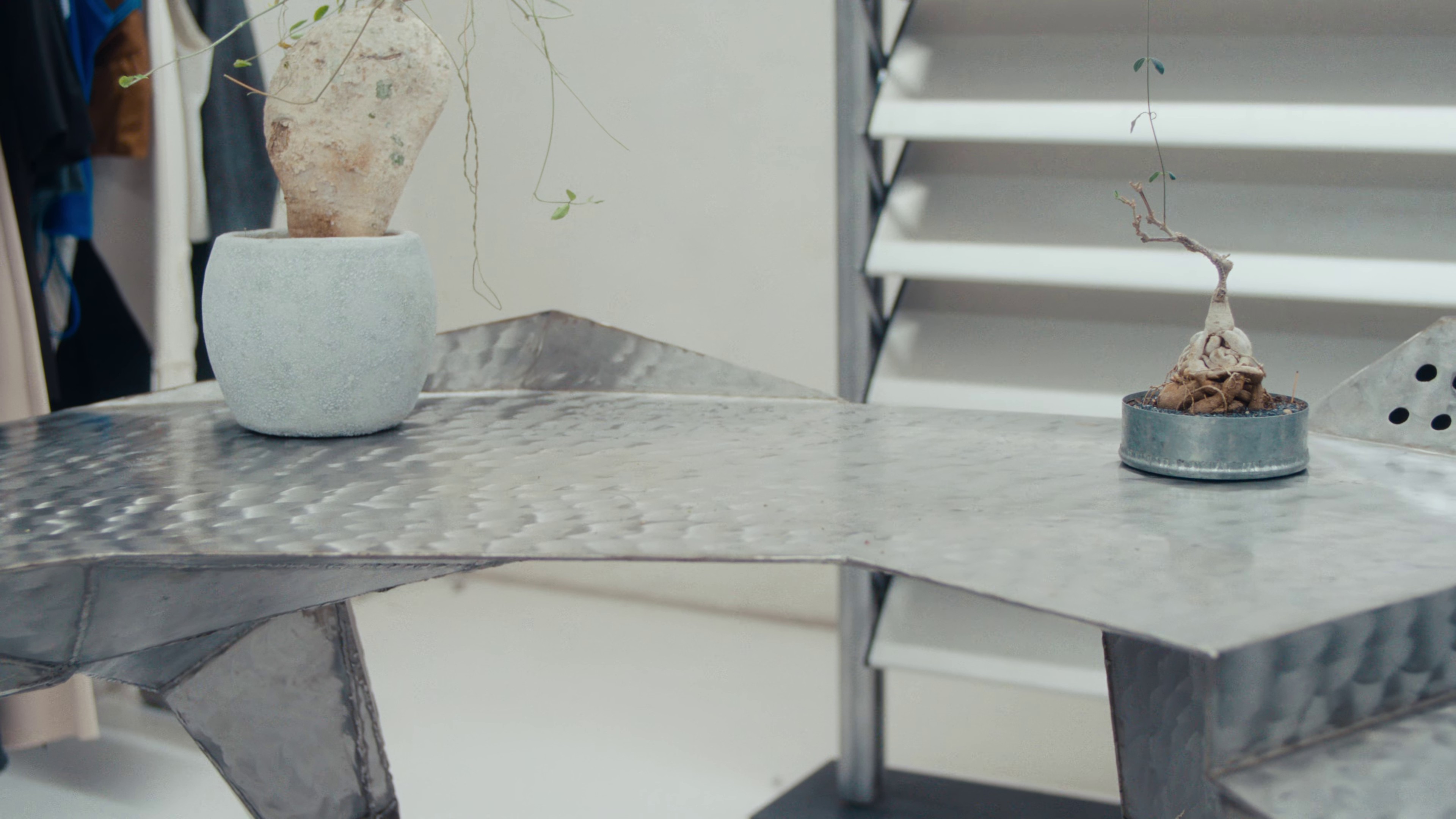 Theodore & Andre (2024) —  shot,  lighting