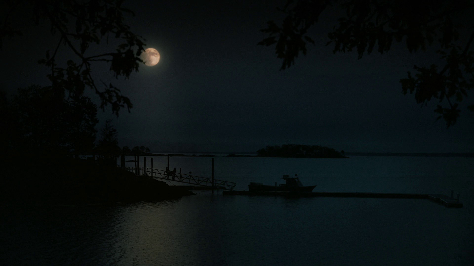 Rebellion Dogs (2020) —  shot,  lighting