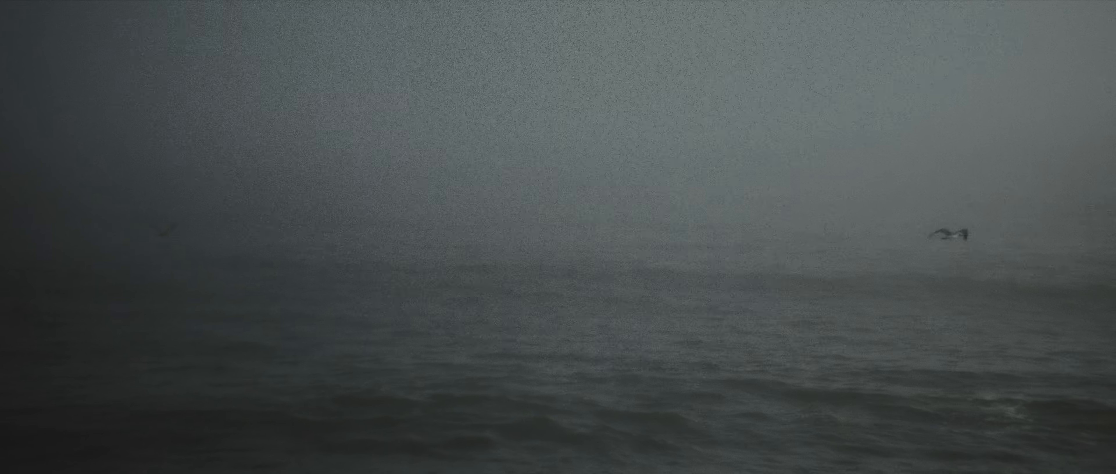 Crimes of Compassion. (2024) —  shot,  lighting