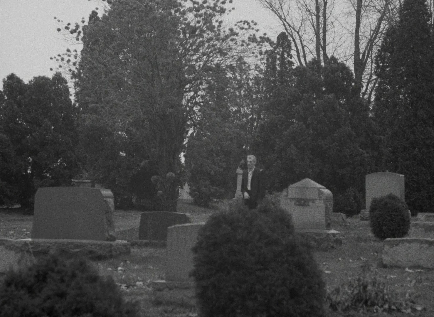 Night of the Living Dead (1968) —  shot,  lighting