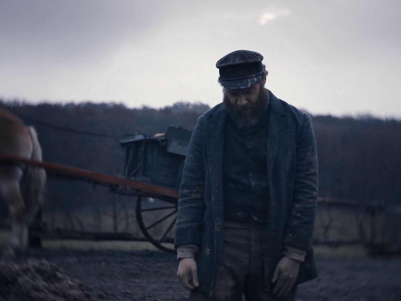 An American Pickle (2020) —  shot,  lighting