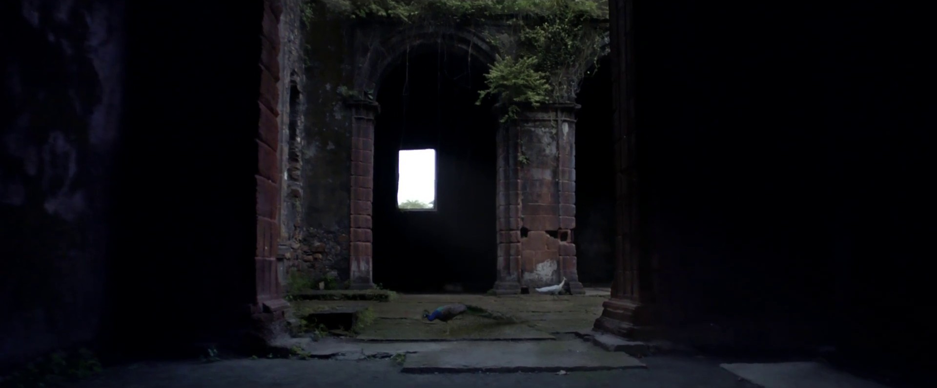 Hymn For The Weekend (2016) —  shot,  lighting