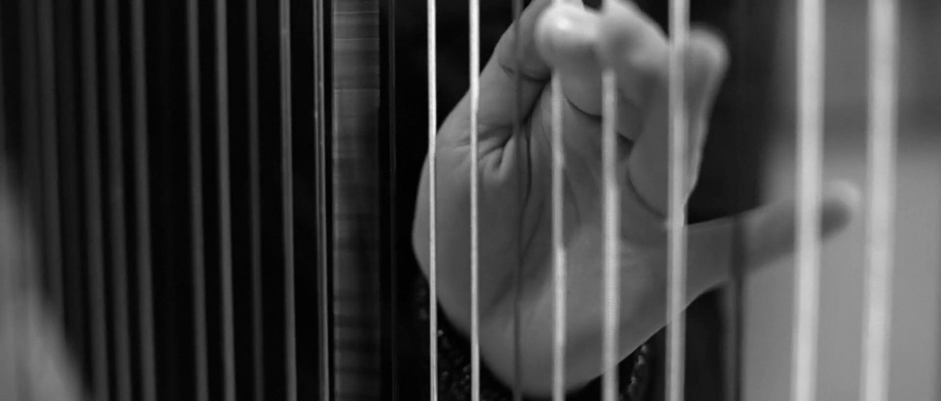 Hennessy & O.S.T.R Never stop. Never settle – Autentycznie (2018) —  shot,  lighting