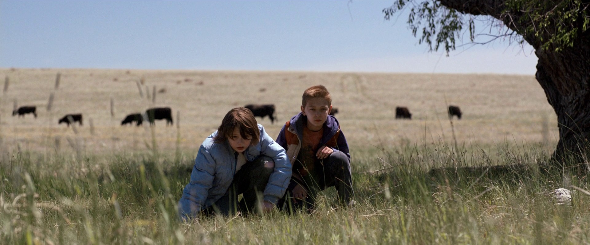 Cop Car (2015) —  shot,  lighting