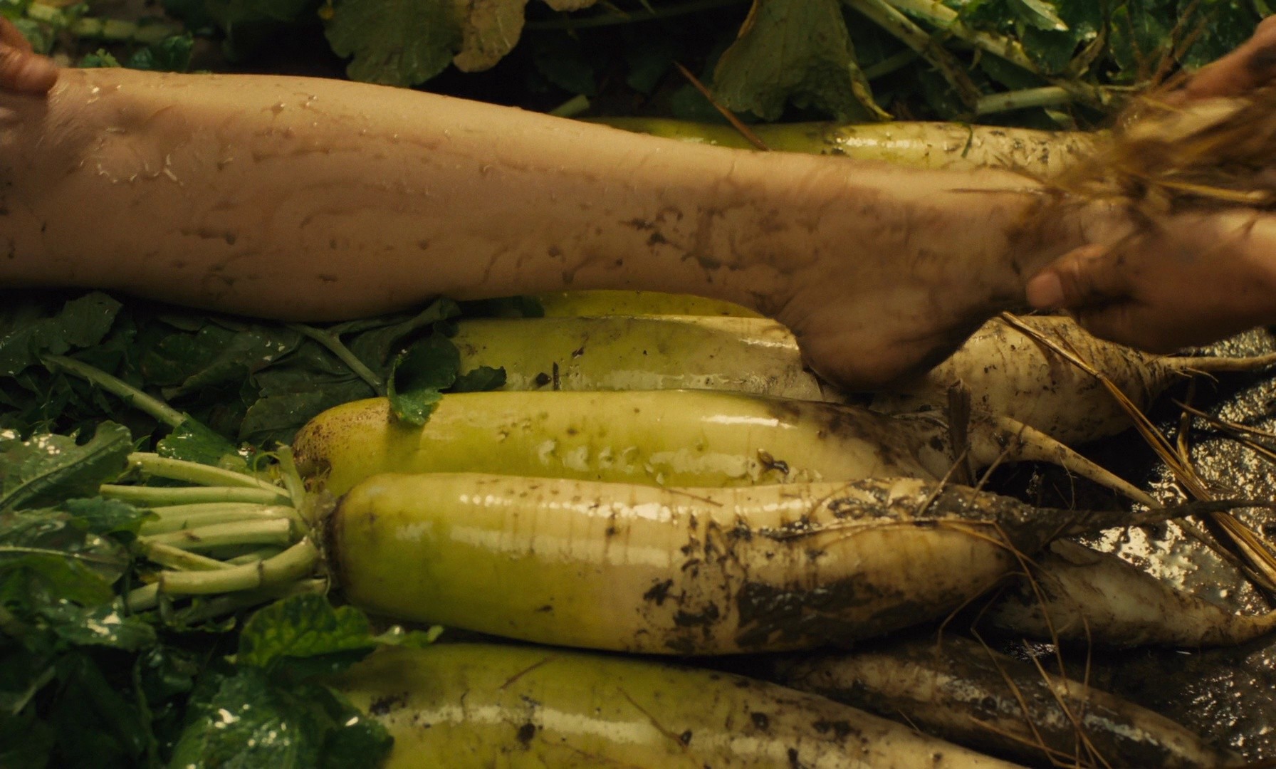 Yumeji (1991) —  shot,  lighting