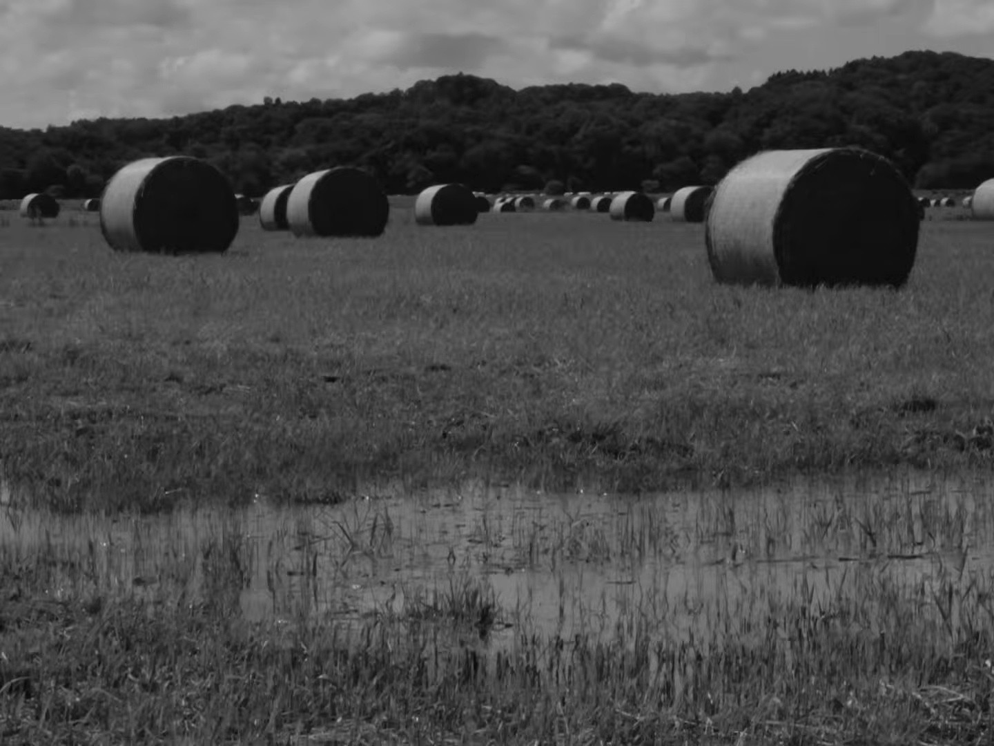 Sunlight (2025) —  shot,  lighting