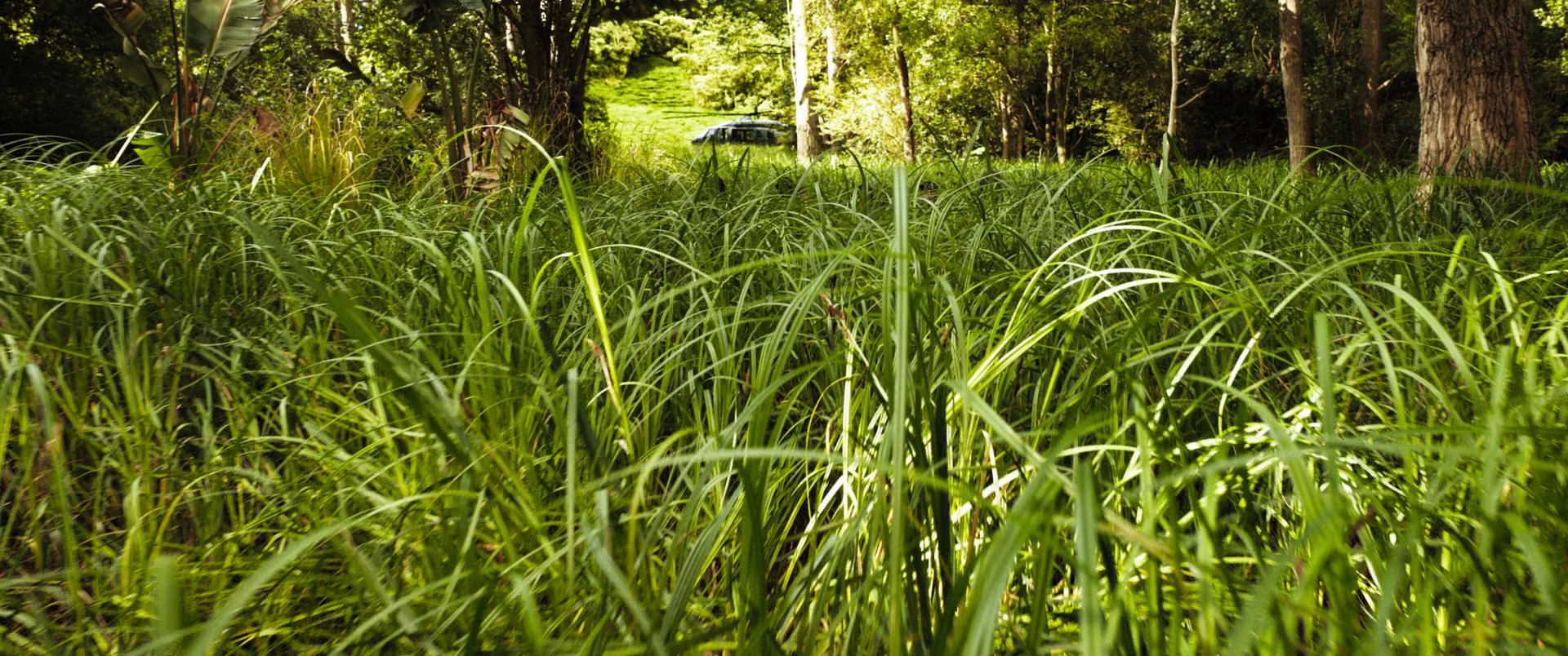 The 355 (2022) —  shot,  lighting