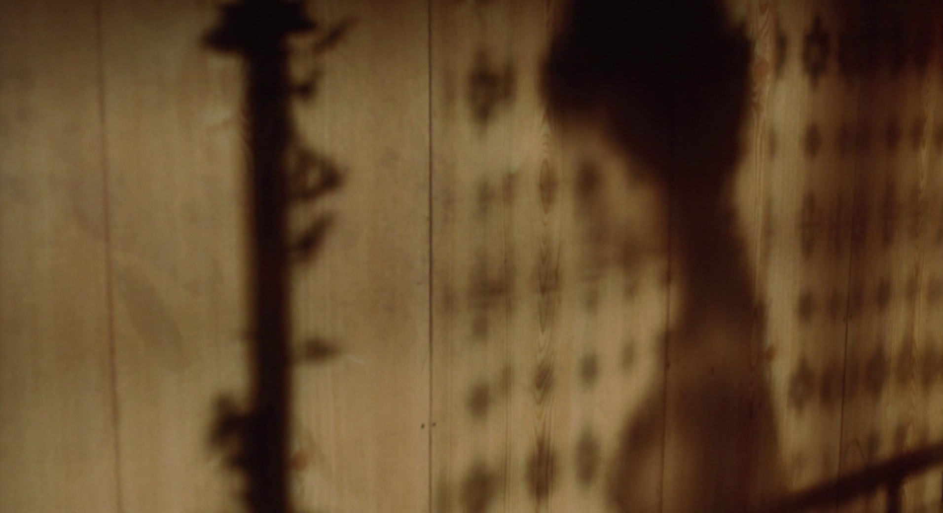 Air Doll (2009) —  shot,  lighting