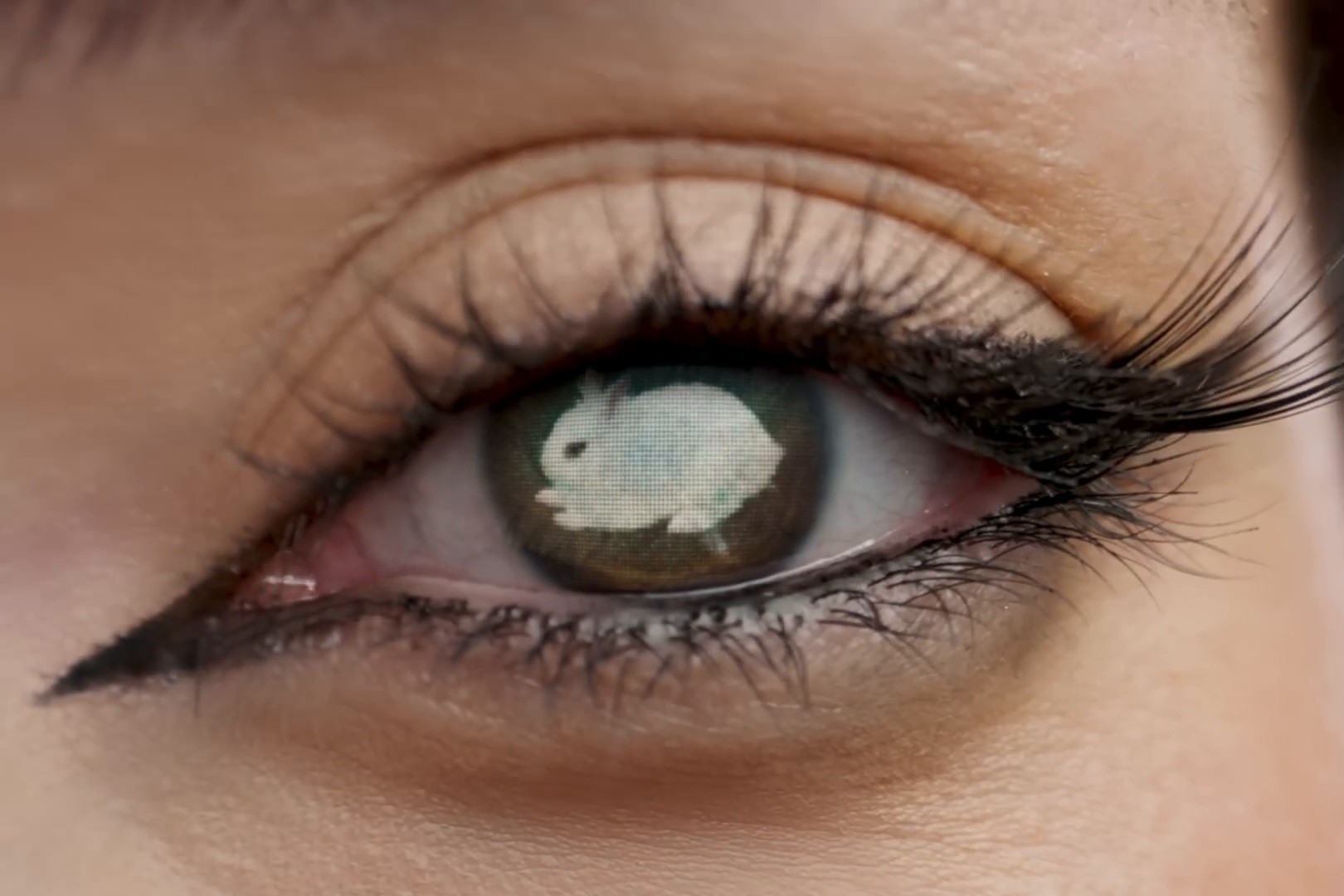 Le lapin blanc (2025) —  shot,  lighting