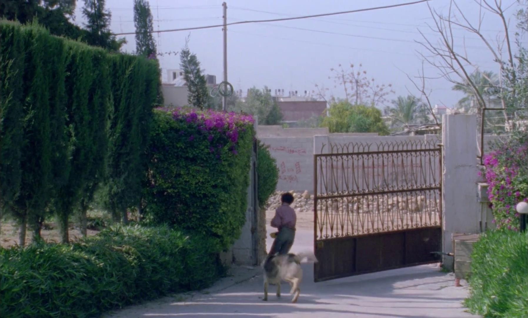 Hikayatul jawahiri thalath (1995) —  shot,  lighting