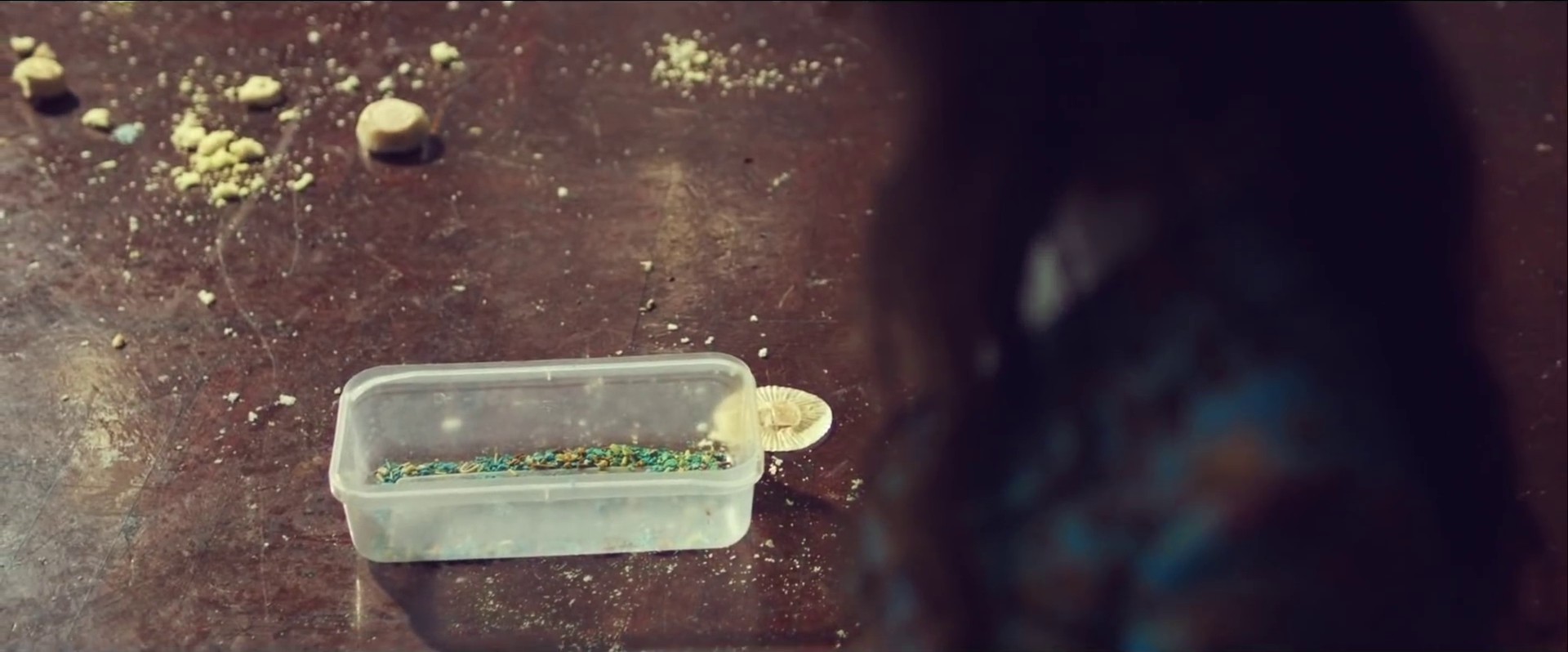 Kiwi (2017) —  shot,  lighting