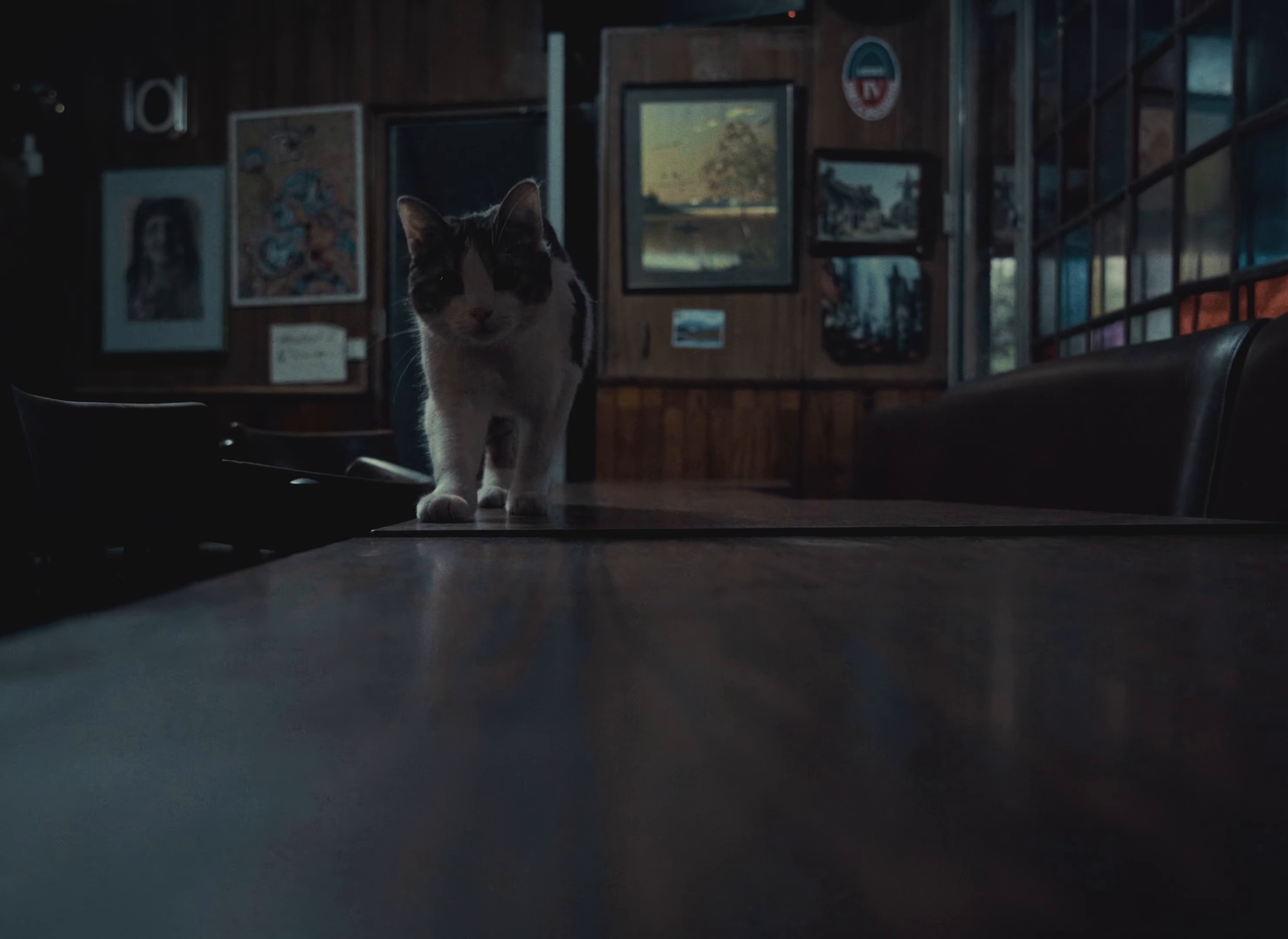 Mila Mou Normal (Katse Kala) (2025) —  shot,  lighting