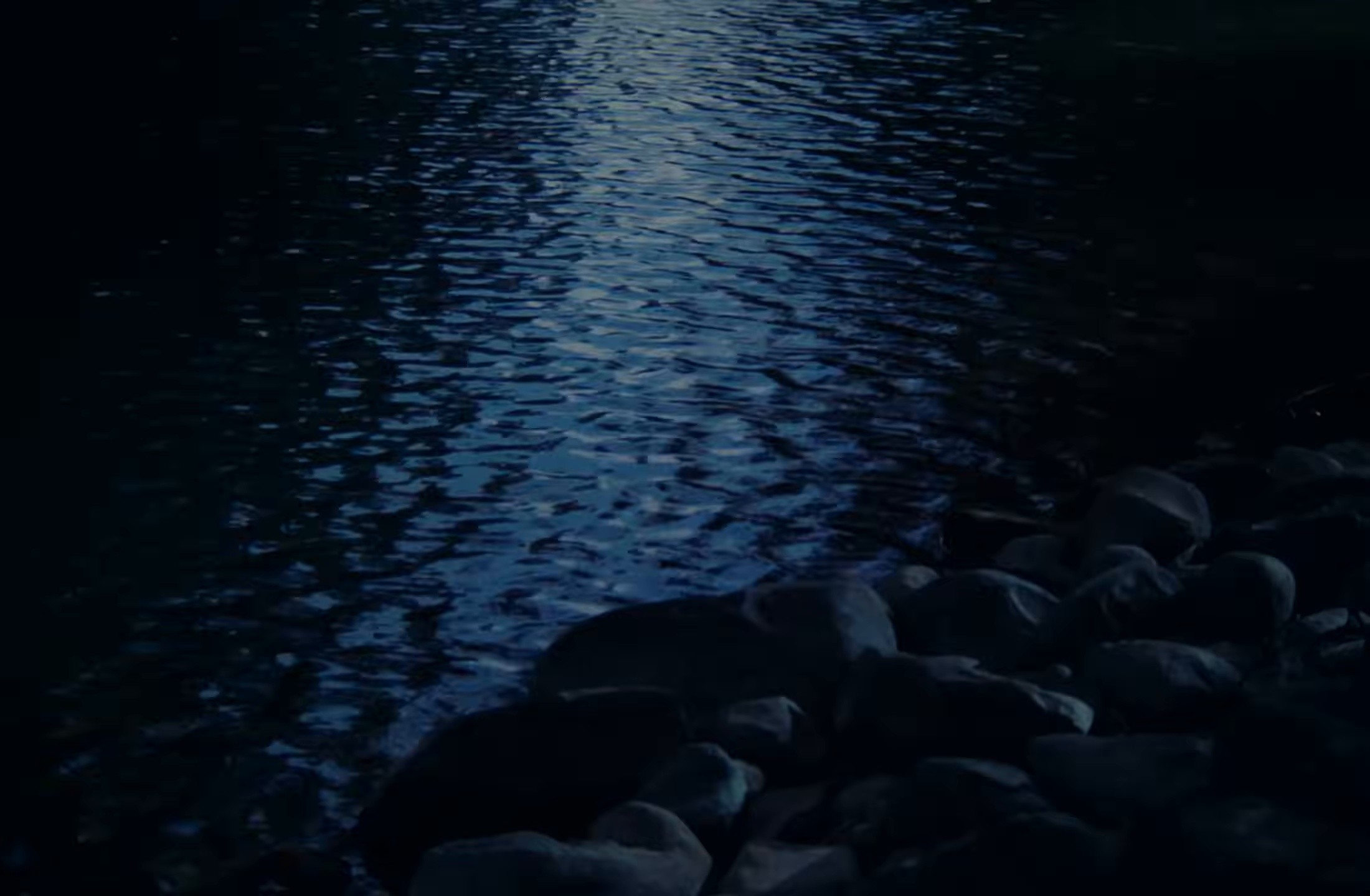 Attack + Release (2025) —  shot,  lighting