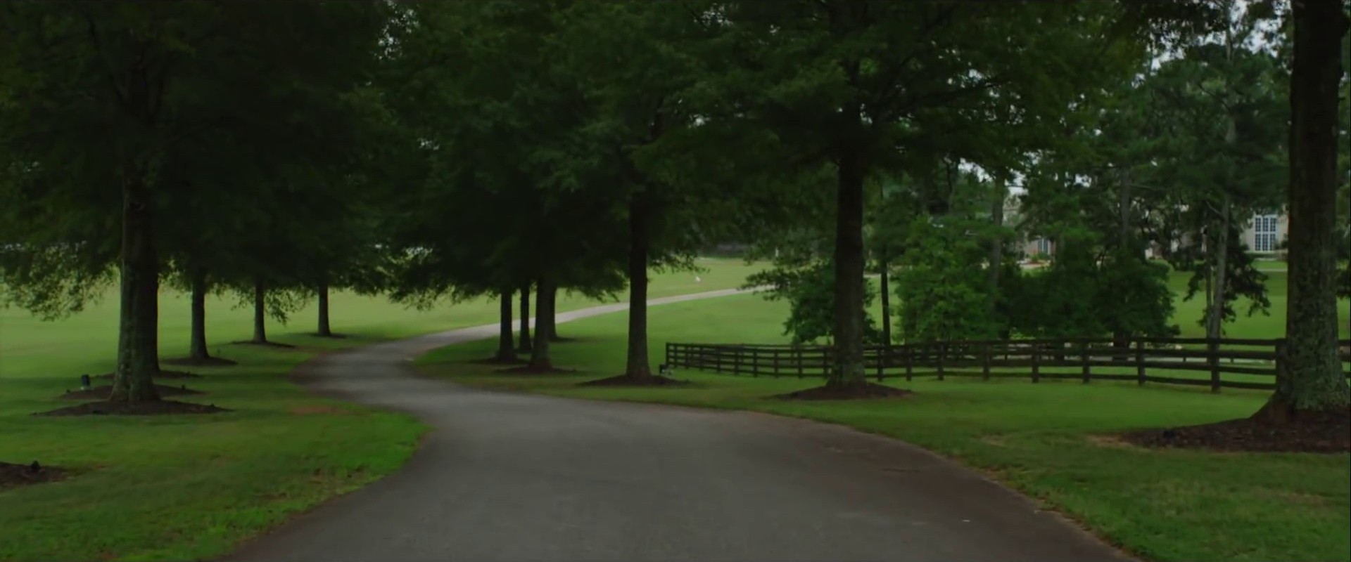 Money Dance  (2015) —  shot,  lighting