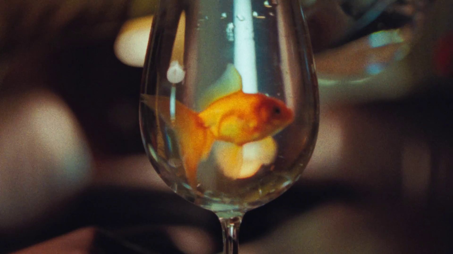 Dark July (2018) —  shot,  lighting