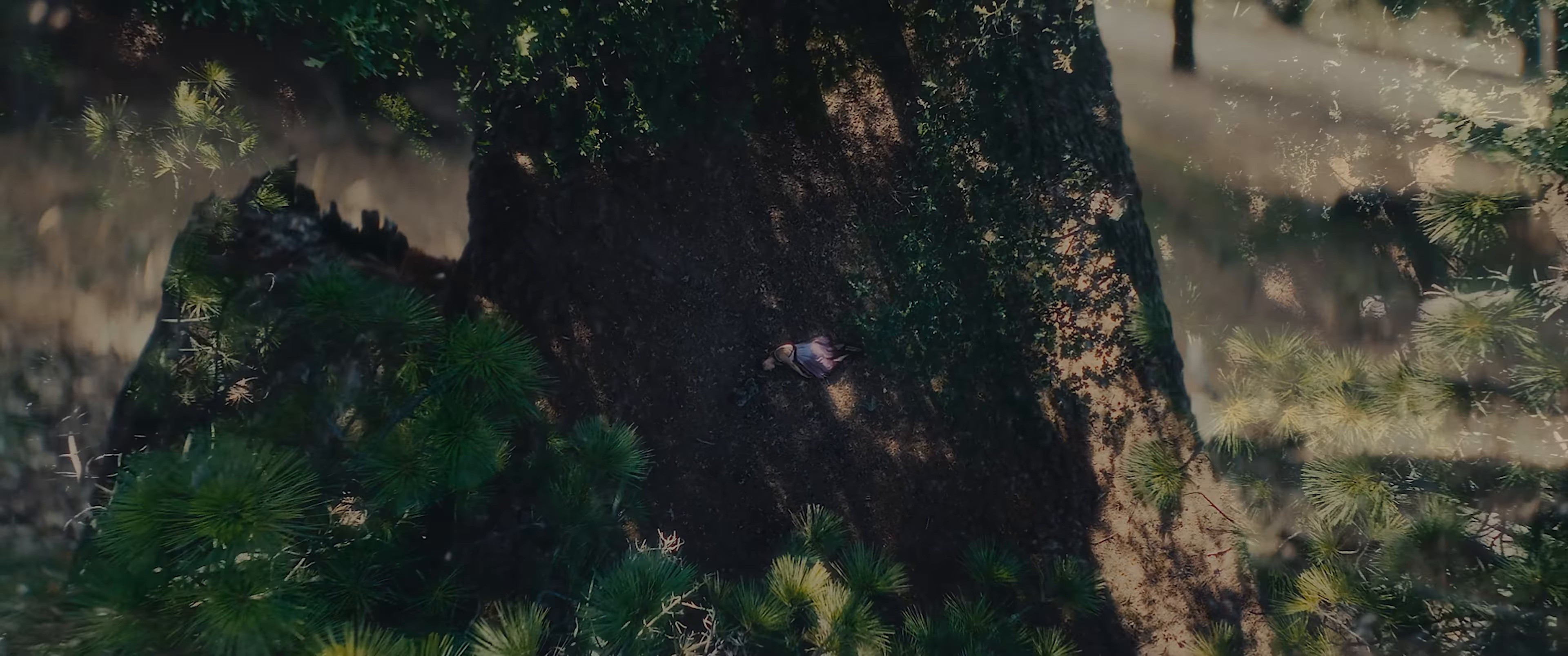 Hole  (2025) —  shot,  lighting