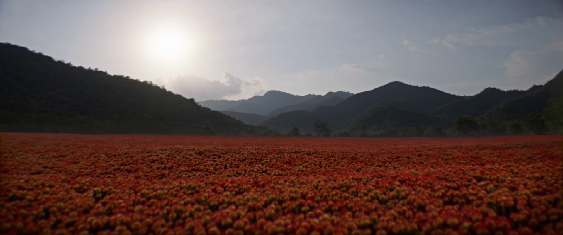 Polestar - Polestar 4 (2024) —  shot,  lighting
