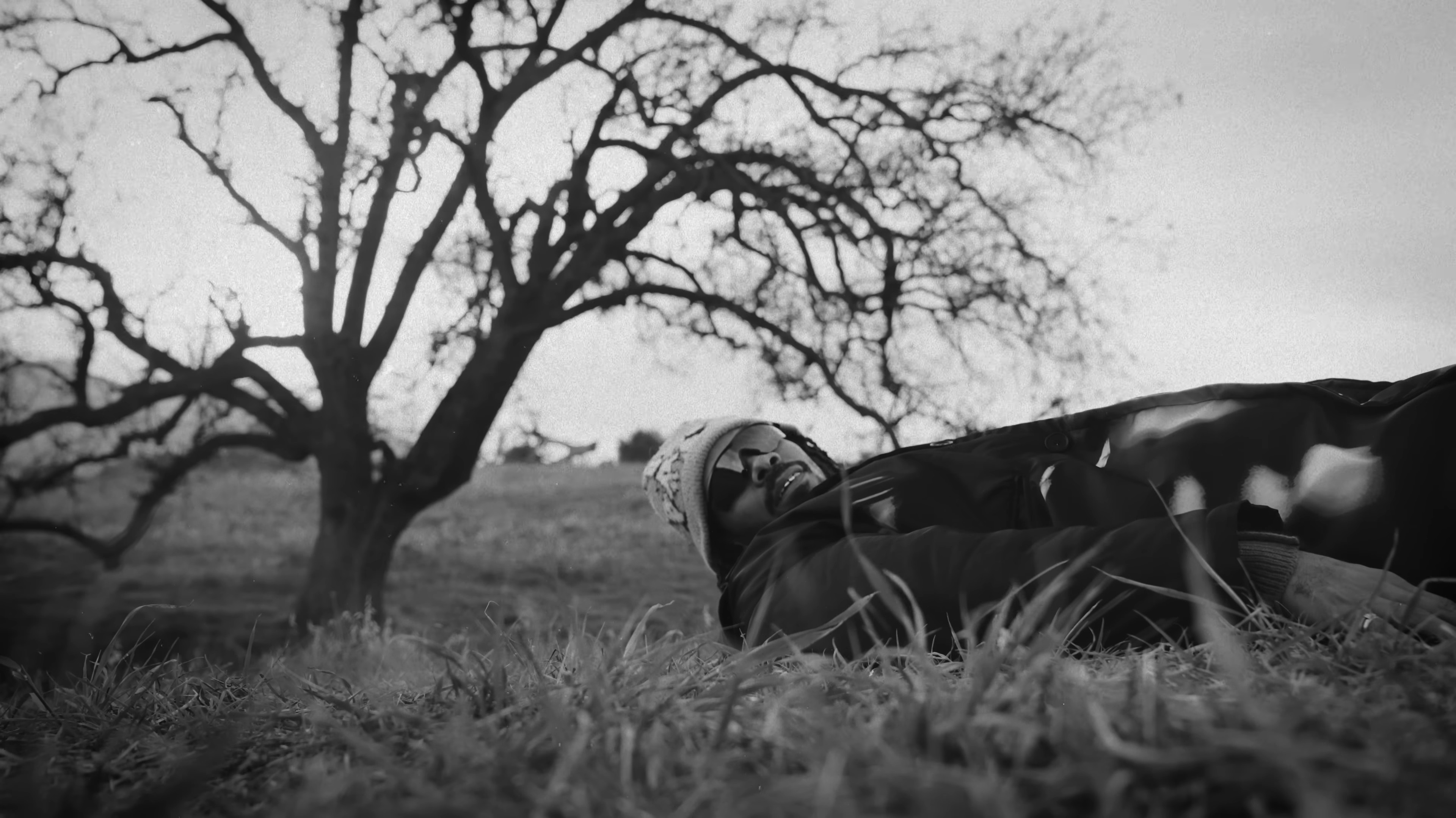 Instincts (2024) —  shot,  lighting