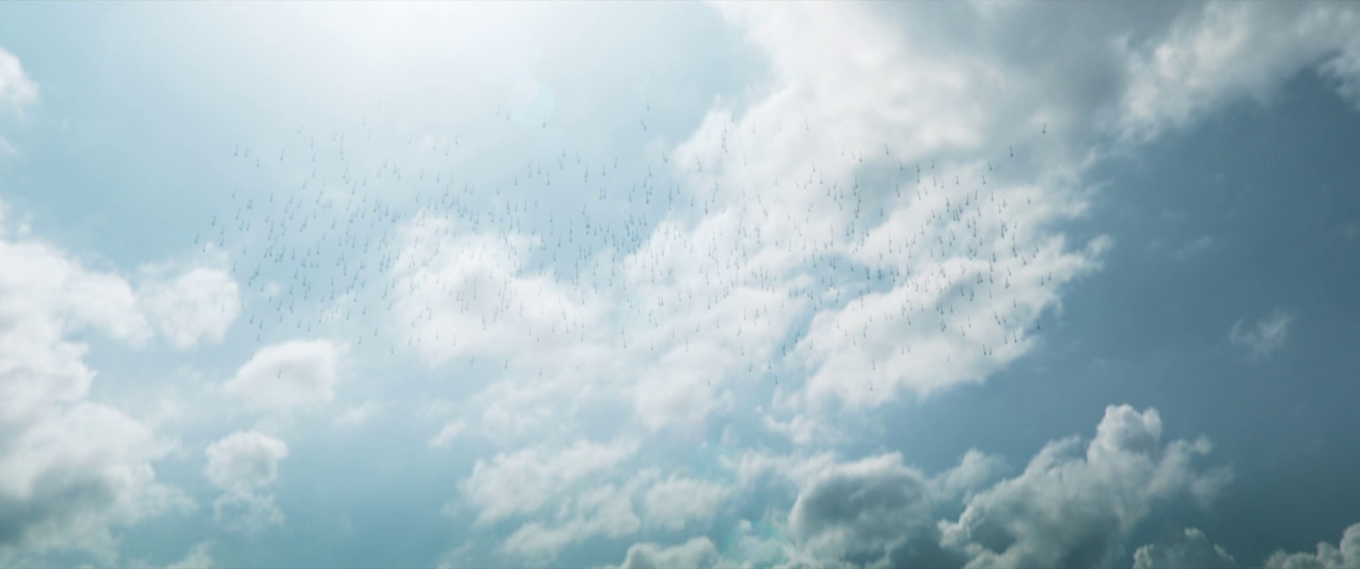 Shang-Chi and the Legend of the Ten Rings (2021) —  shot,  lighting