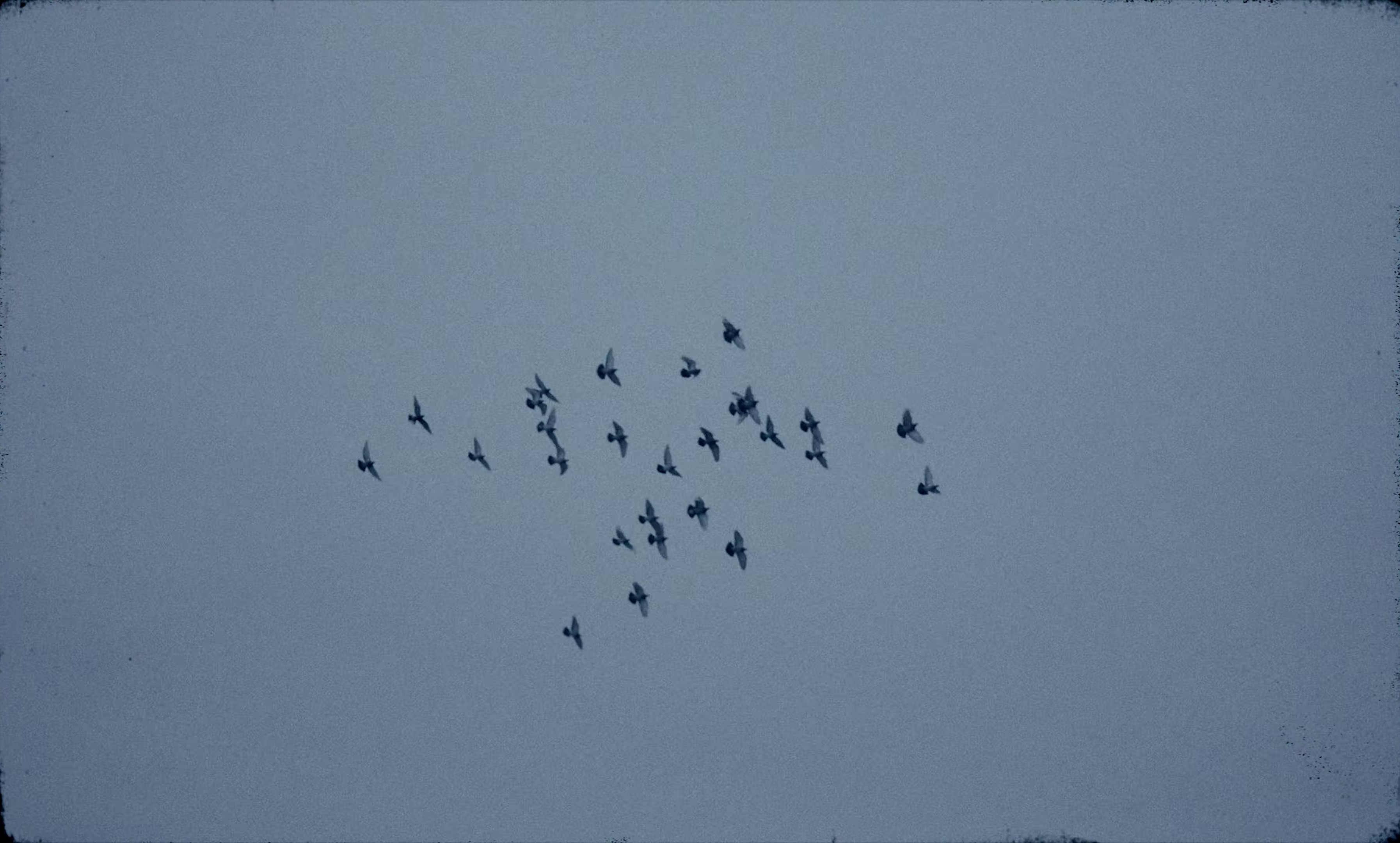 POP 2 (2024) —  shot,  lighting