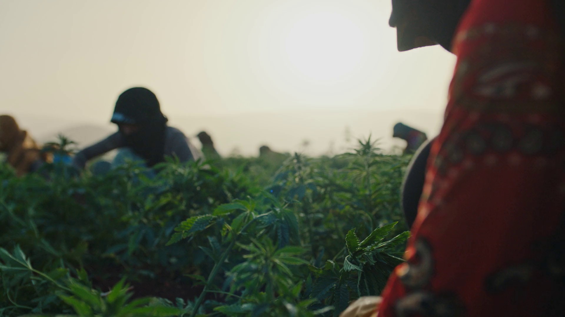 Heart Of Sky (2018) —  shot,  lighting