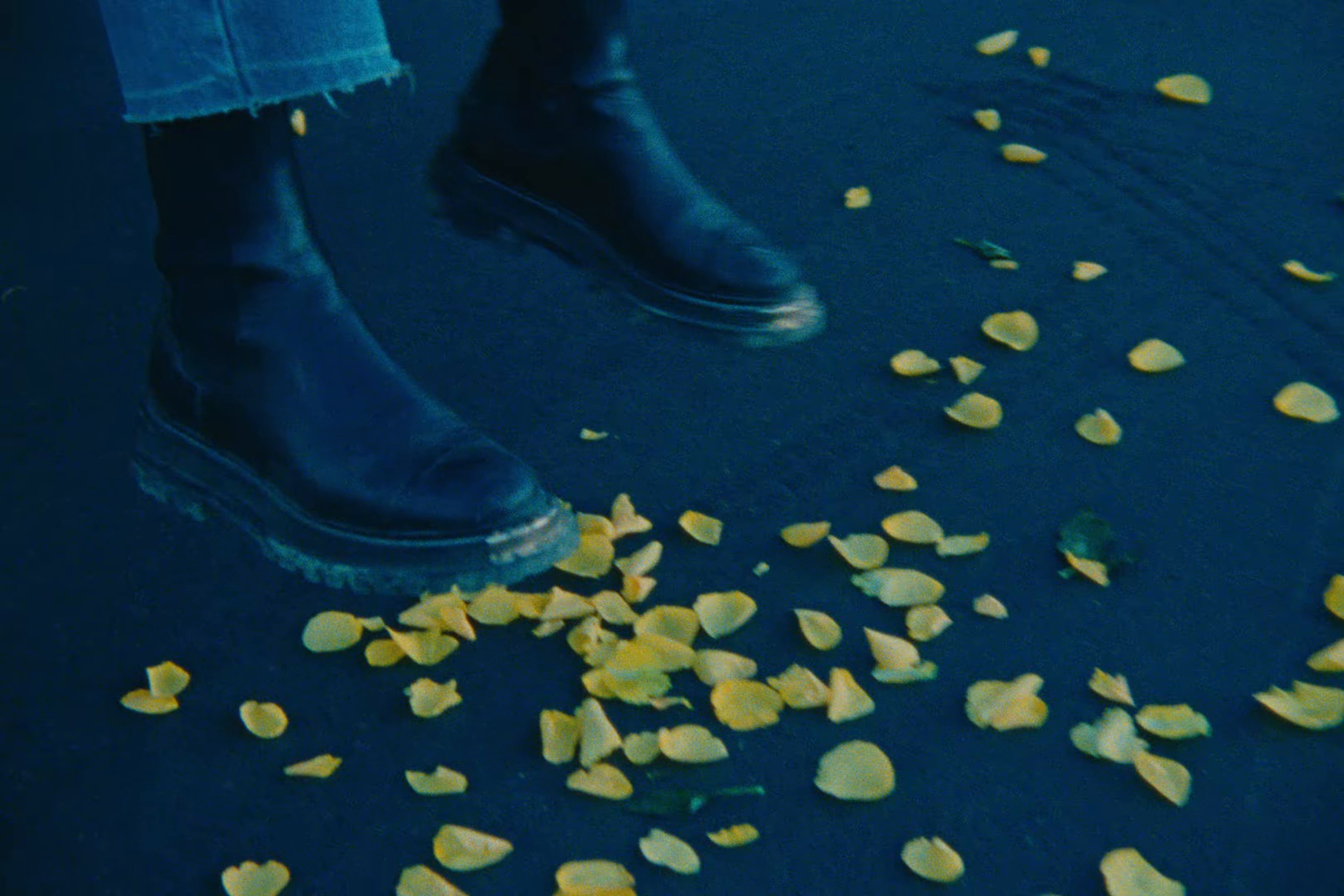 bleed you (2024) —  shot,  lighting