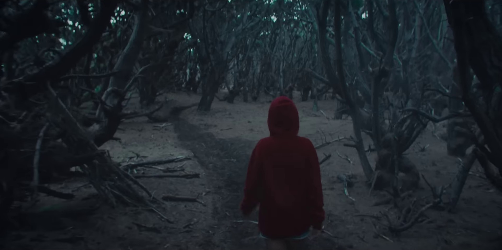 Don't Think Twice (2023) —  shot,  lighting