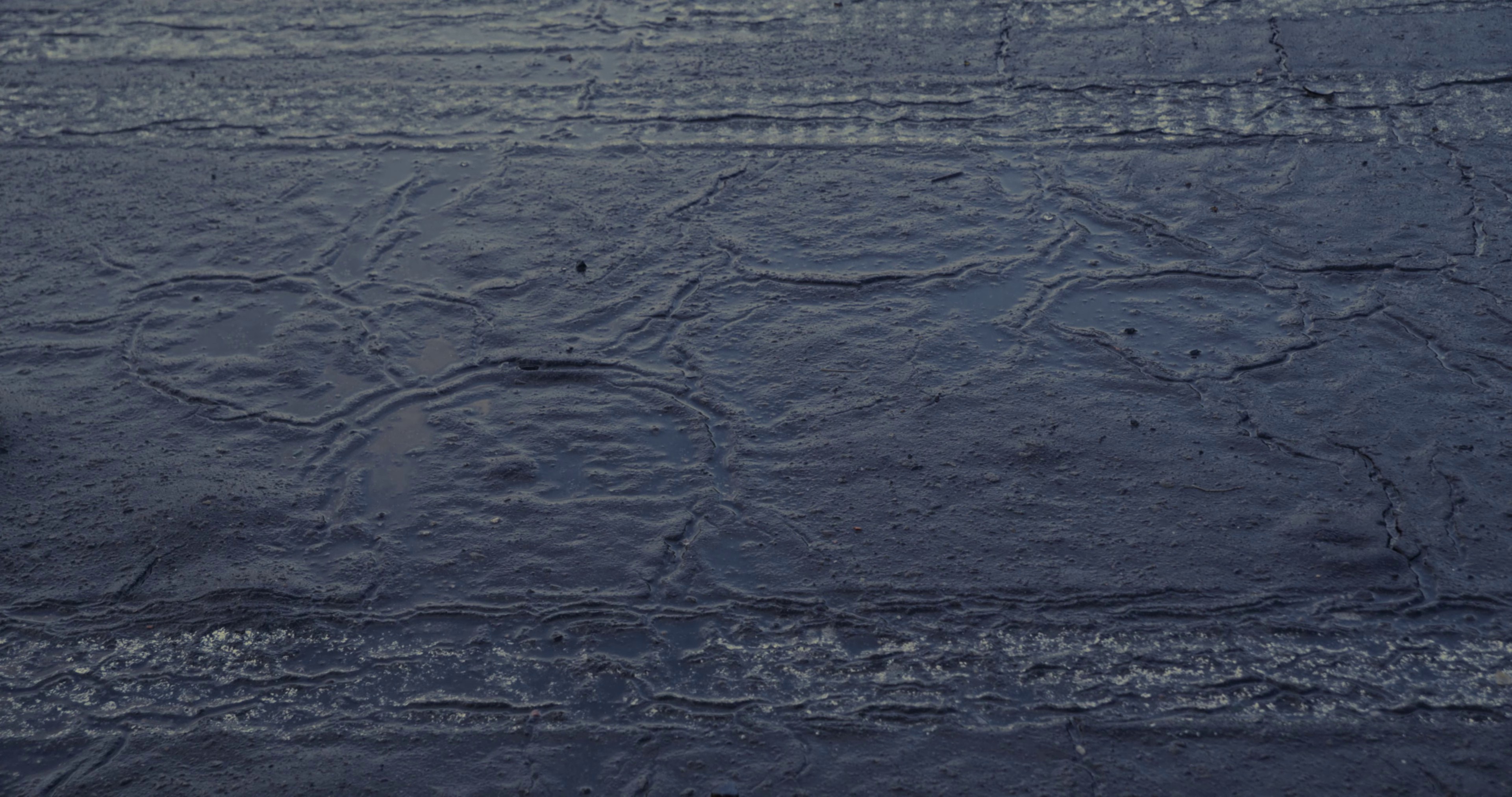 Violet drive (2022) —  shot,  lighting