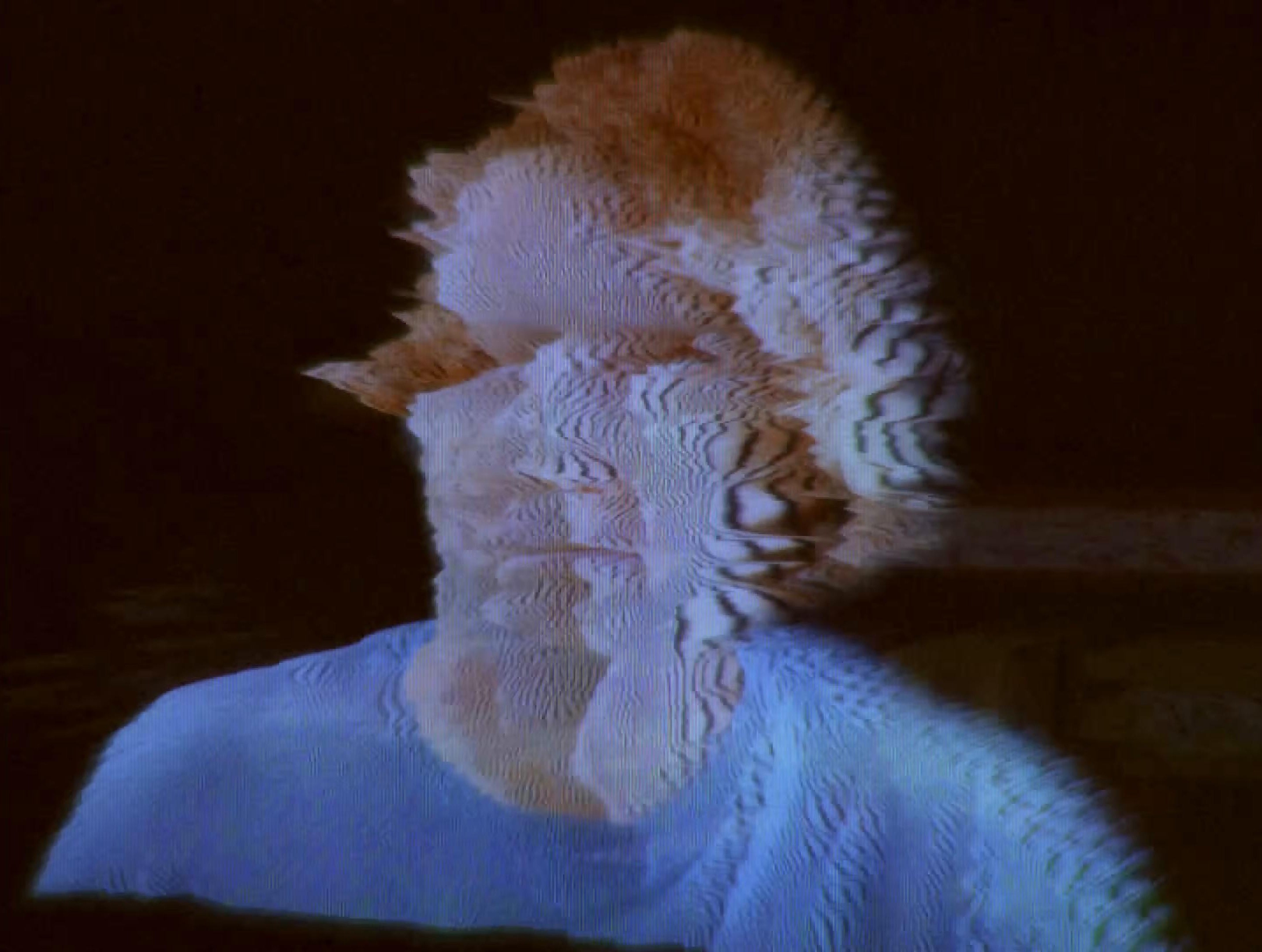 PISSING IN THE BREEZE (2025) —  shot,  lighting