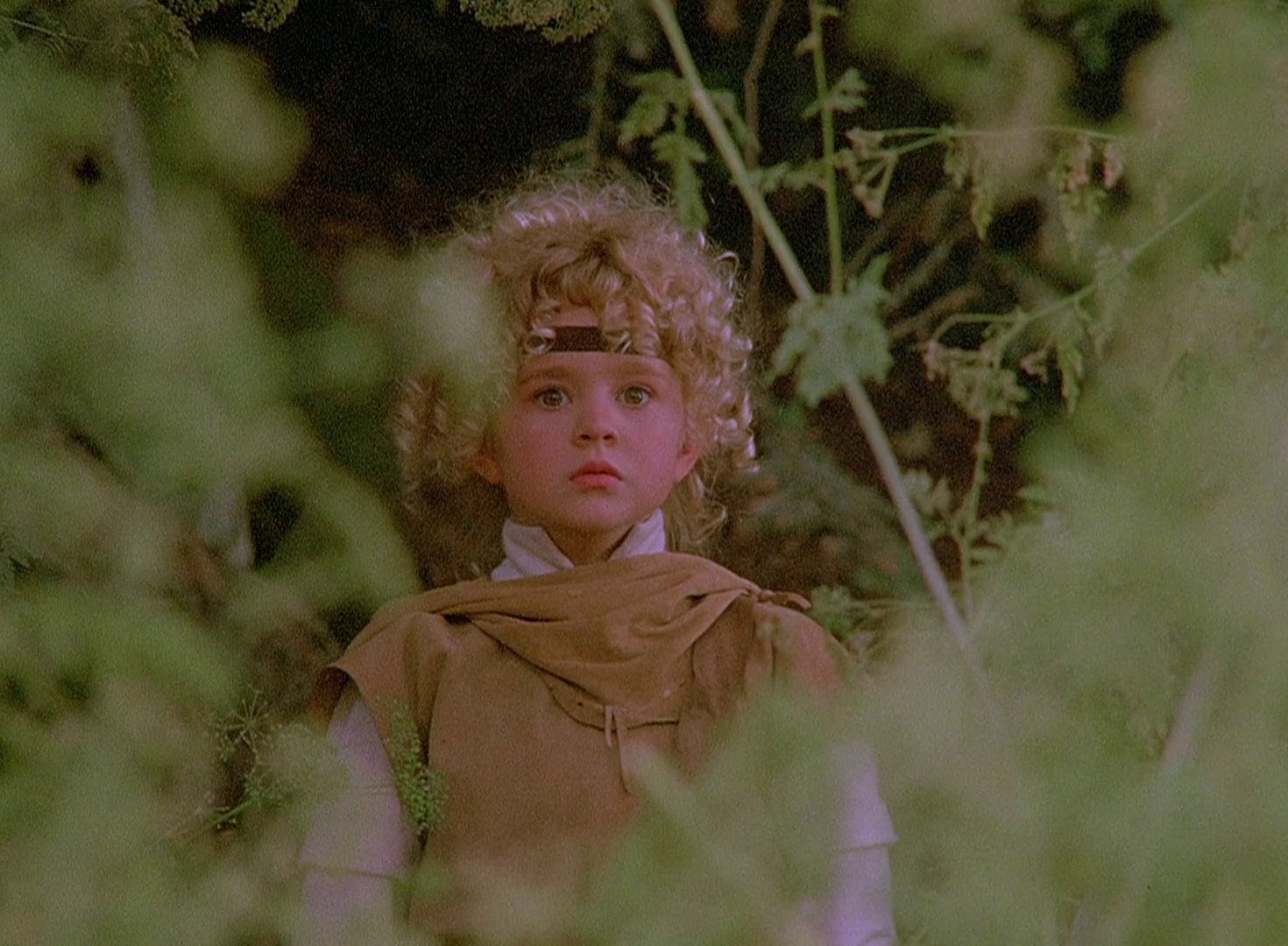 Ewoks: The Battle for Endor (1985) —  shot,  lighting