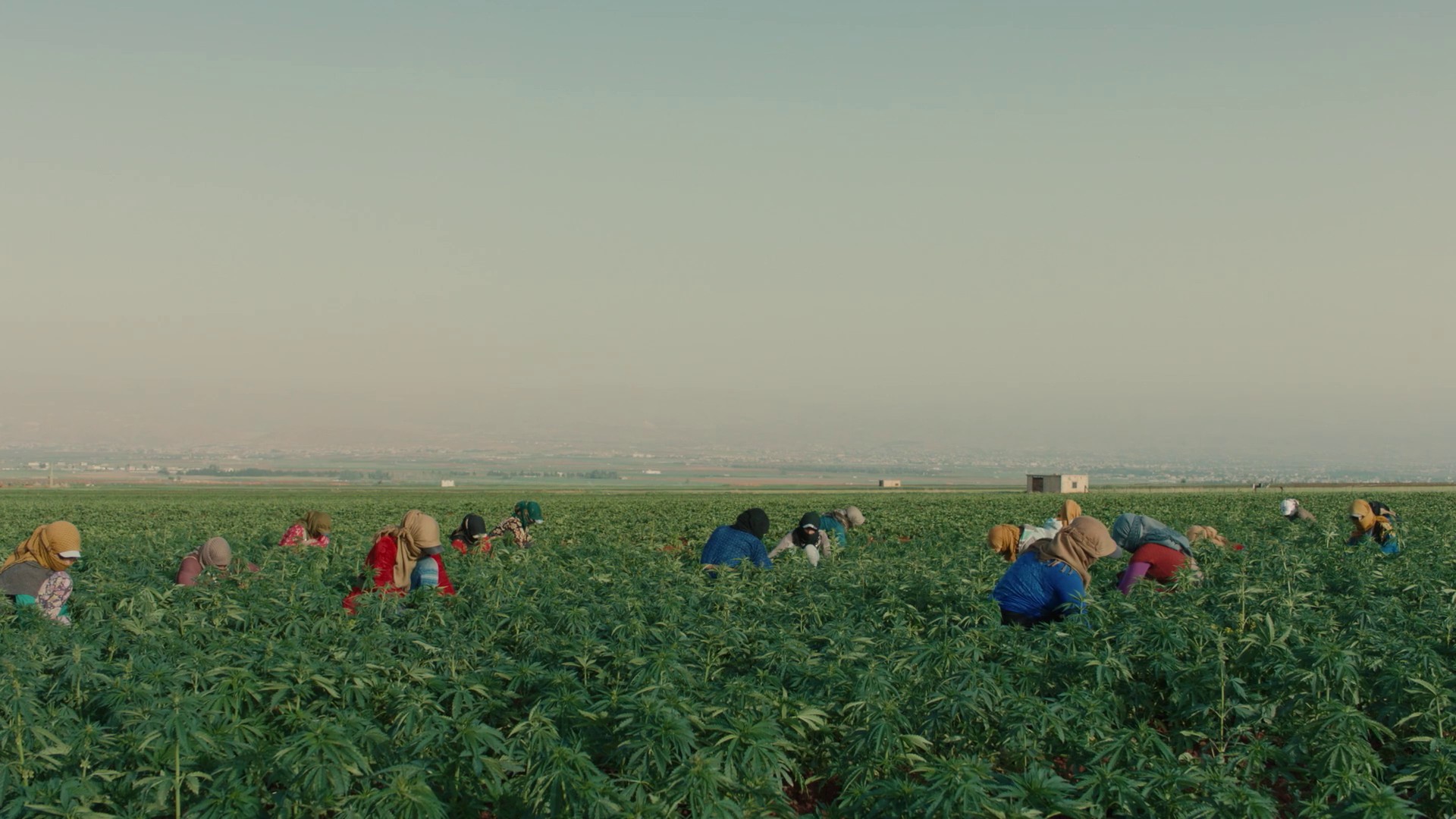 Heart Of Sky (2018) —  shot,  lighting