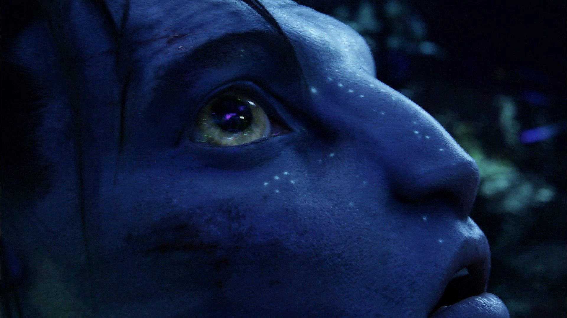 Avatar (2009) —  shot,  lighting