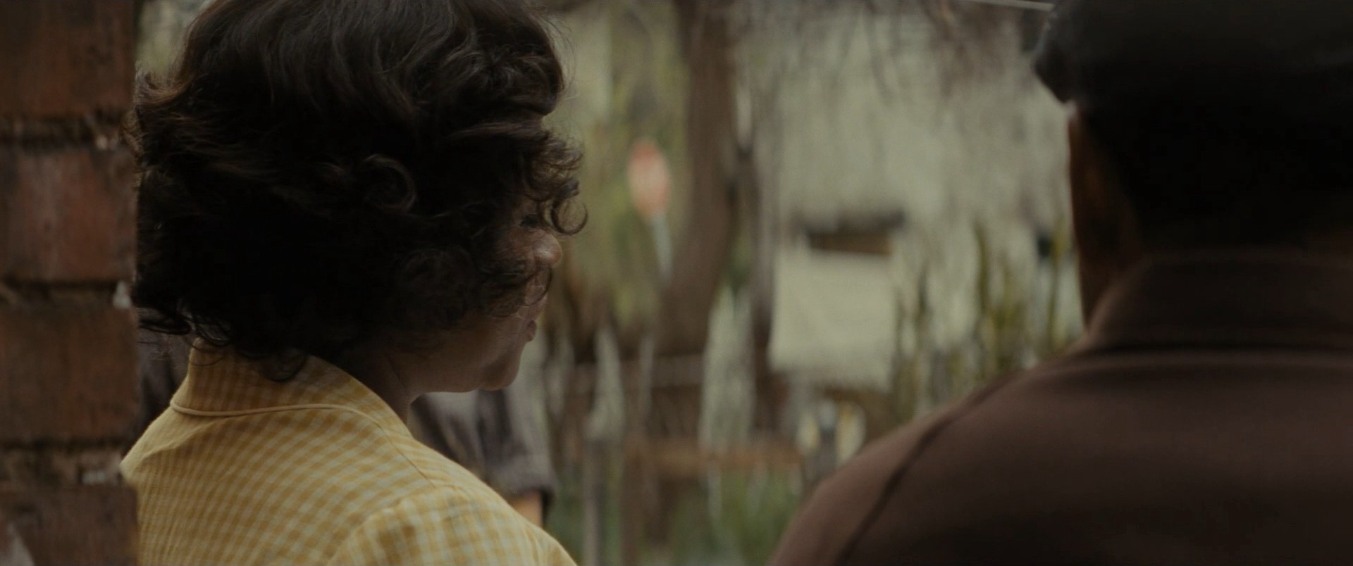 Fences (2016) —  shot,  lighting