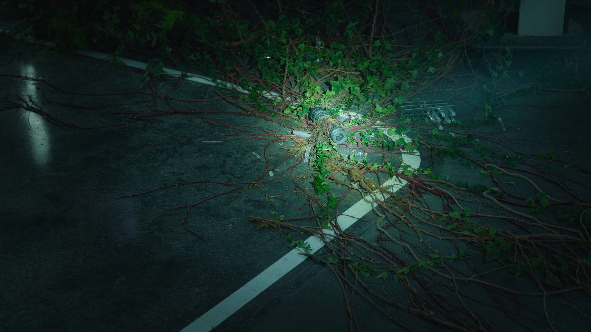 Secret Storage (2021) —  shot,  lighting