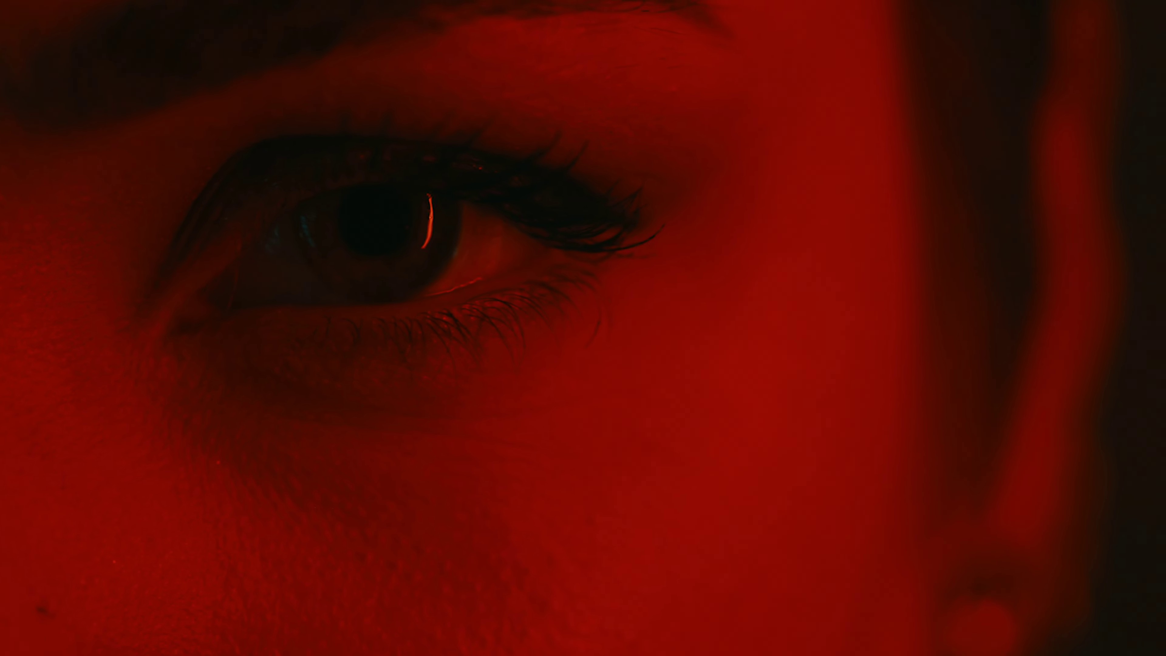 Asphalte  (2022) —  shot,  lighting