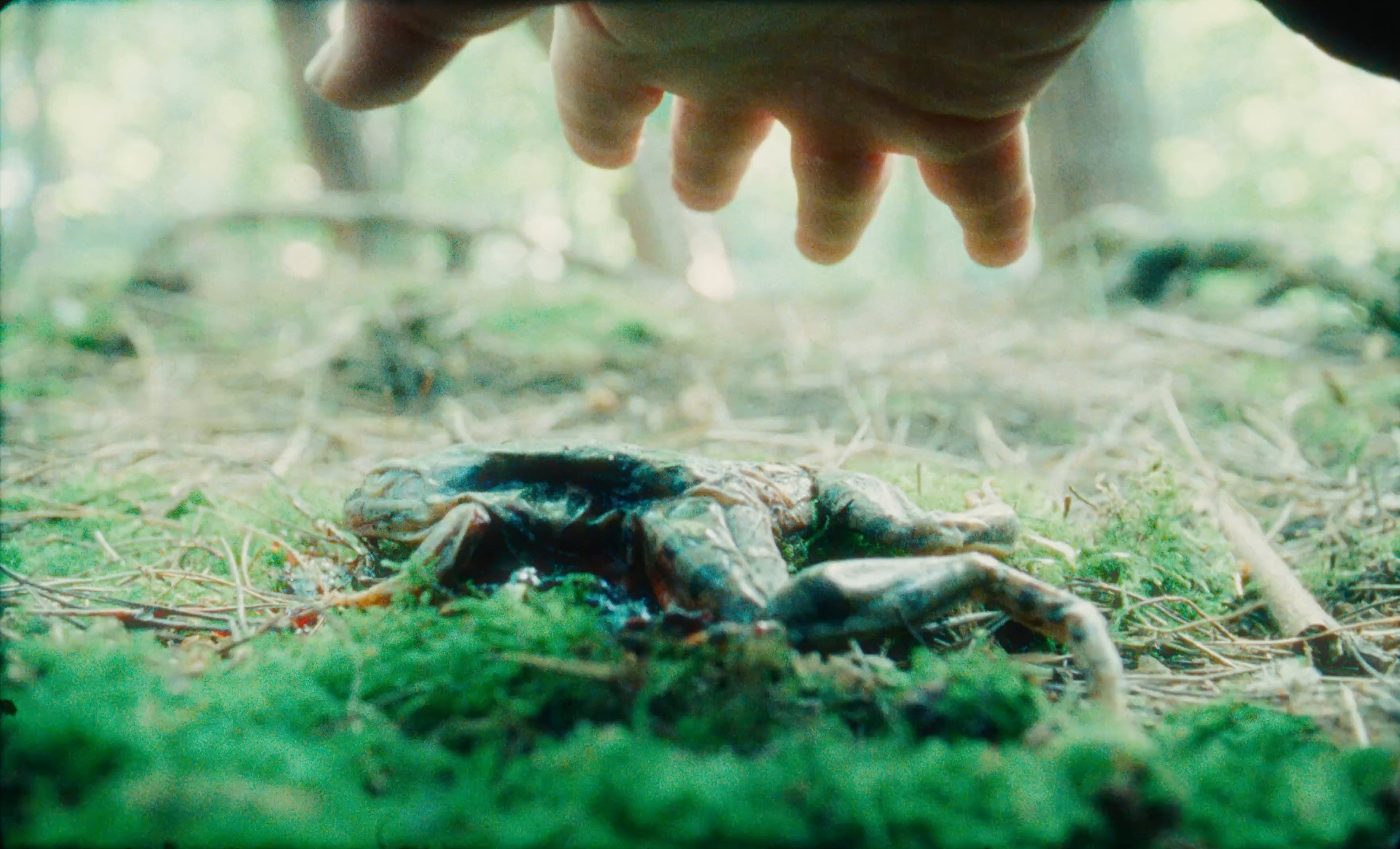 KABELMANN (2024) —  shot,  lighting