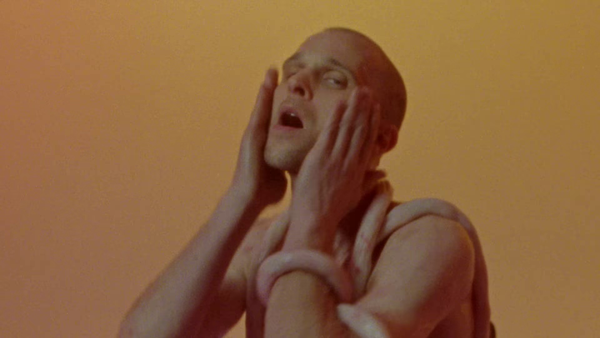 Feel Like A Woman (2023) —  shot,  lighting