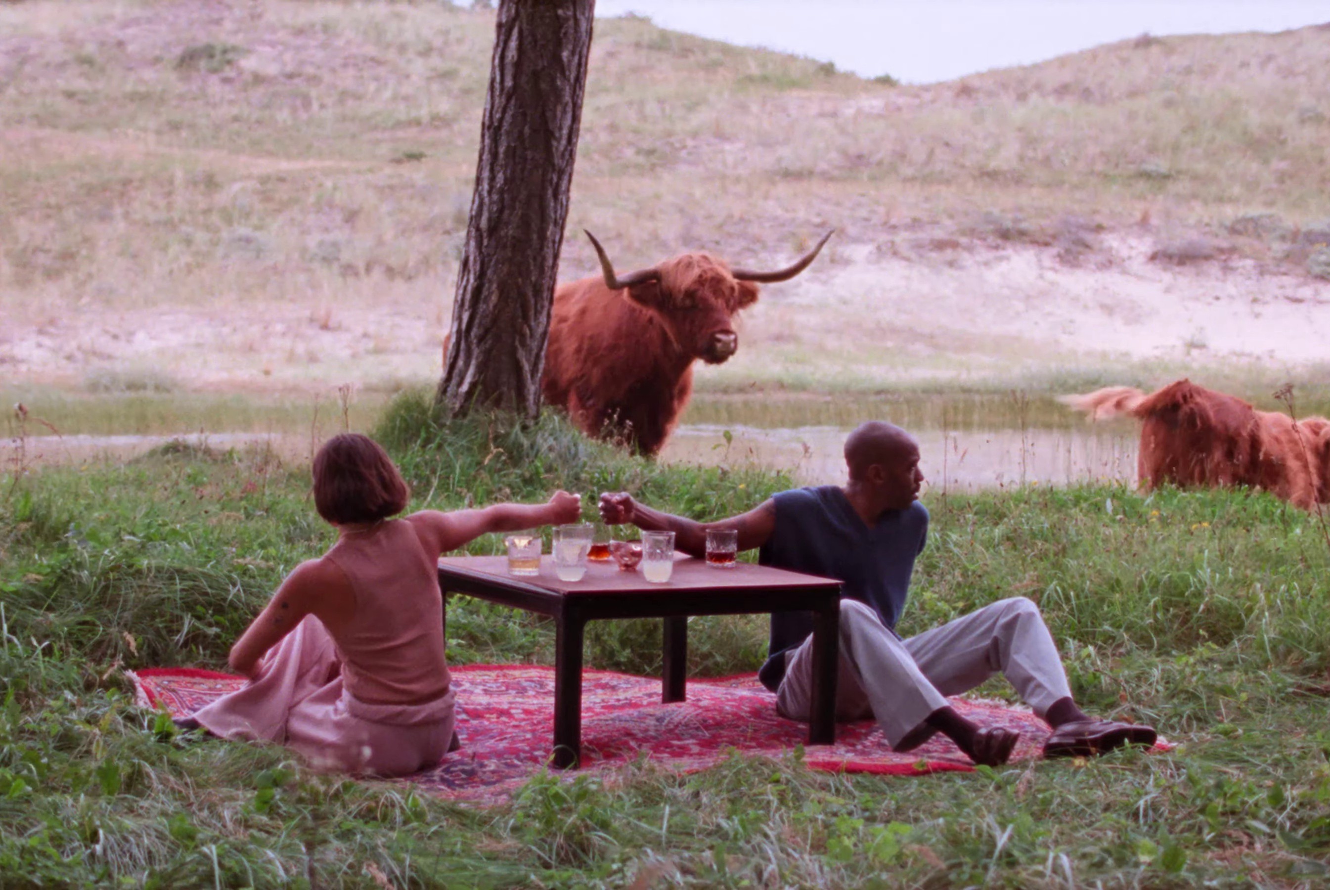 zegeltje (2021) —  shot,  lighting