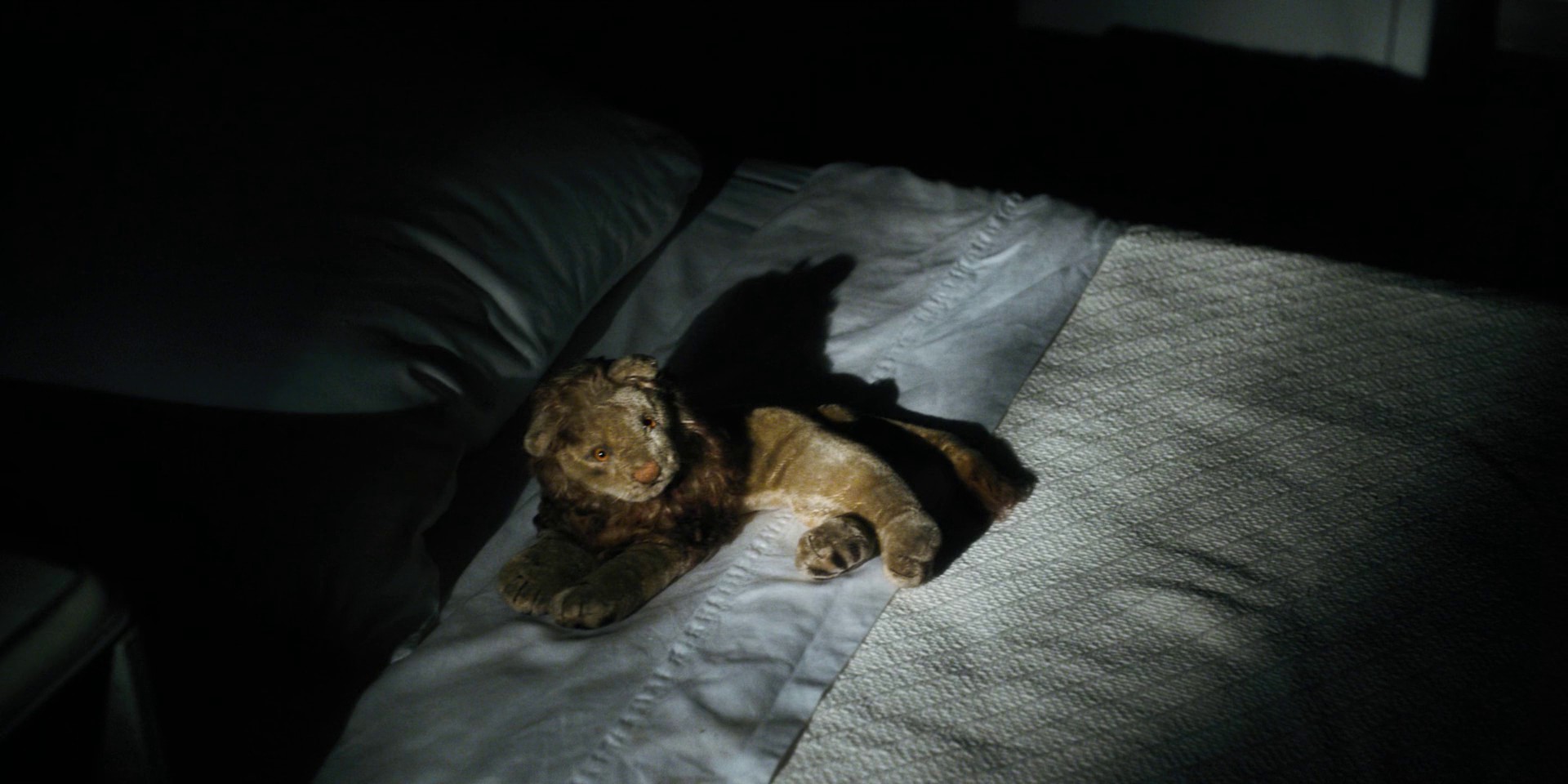 Chapter Five: The Flea and the Acrobat (2016) —  shot,  lighting