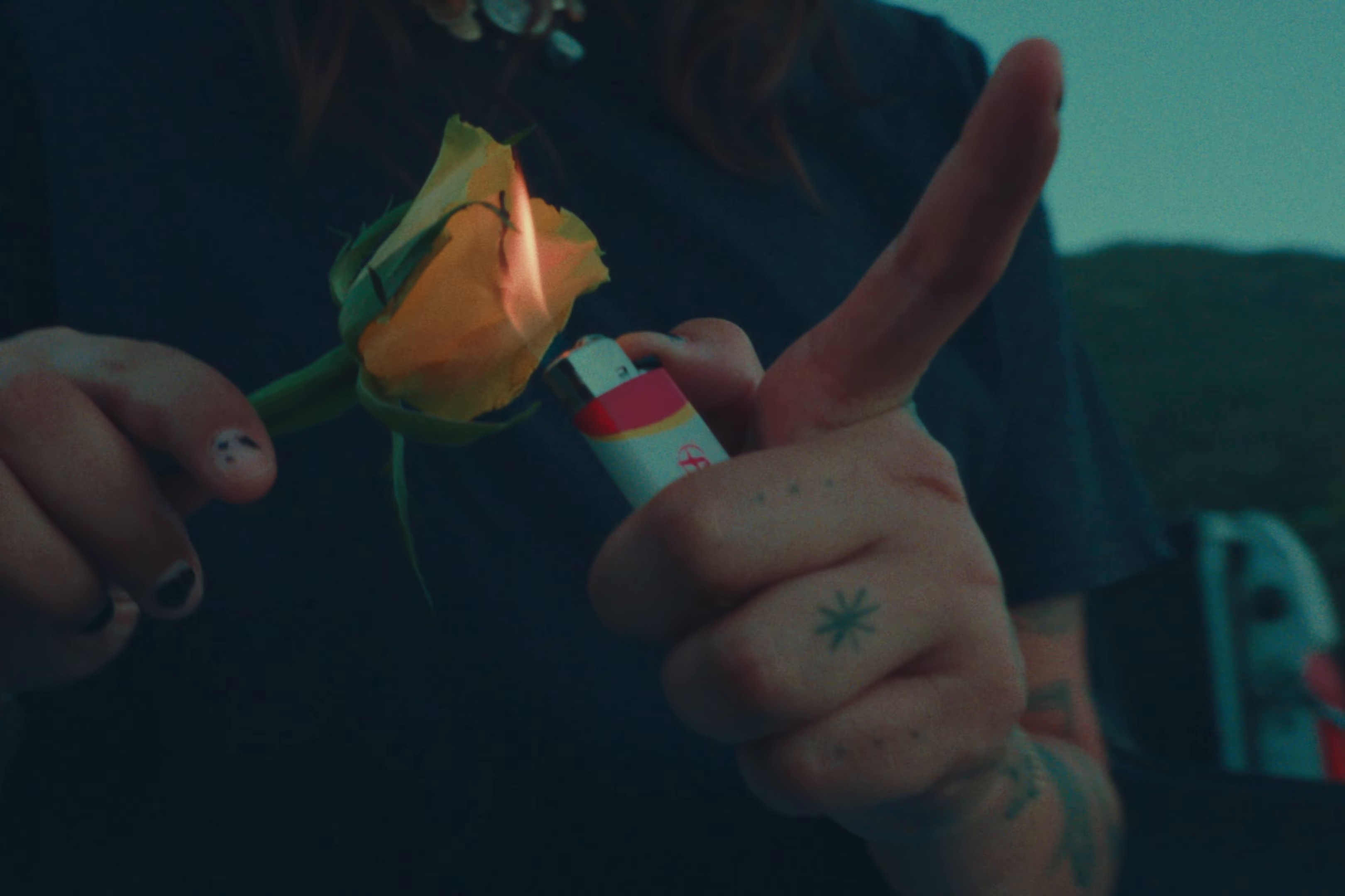 bleed you (2024) —  shot,  lighting