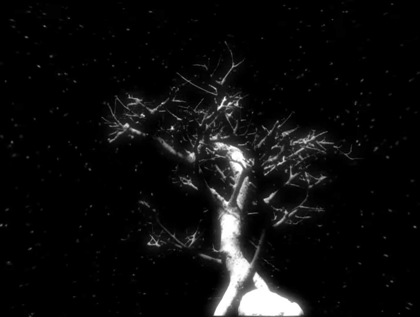 Street Spirit (Fade Out) (2021) —  shot,  lighting