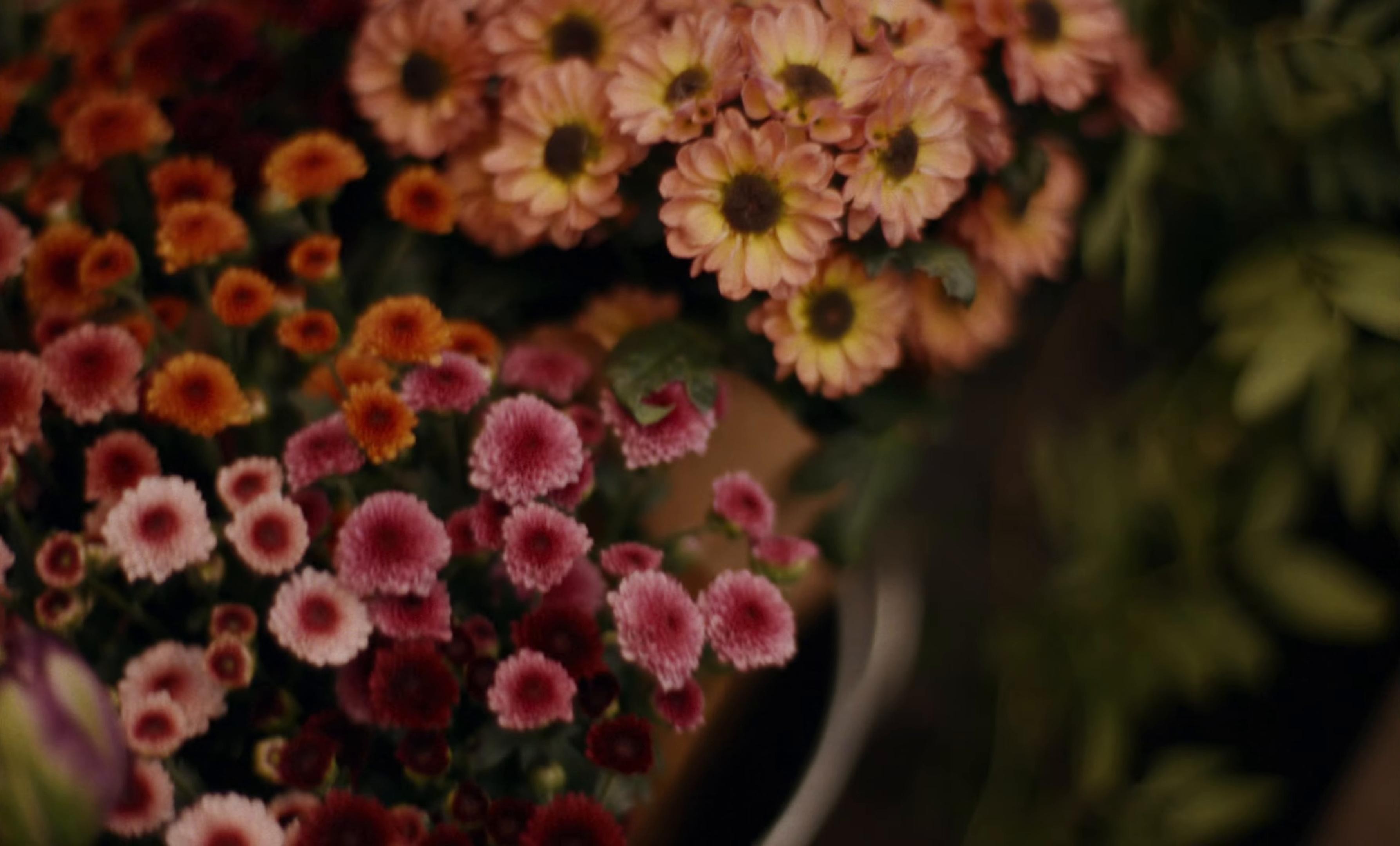 The Prize (2025) —  shot,  lighting