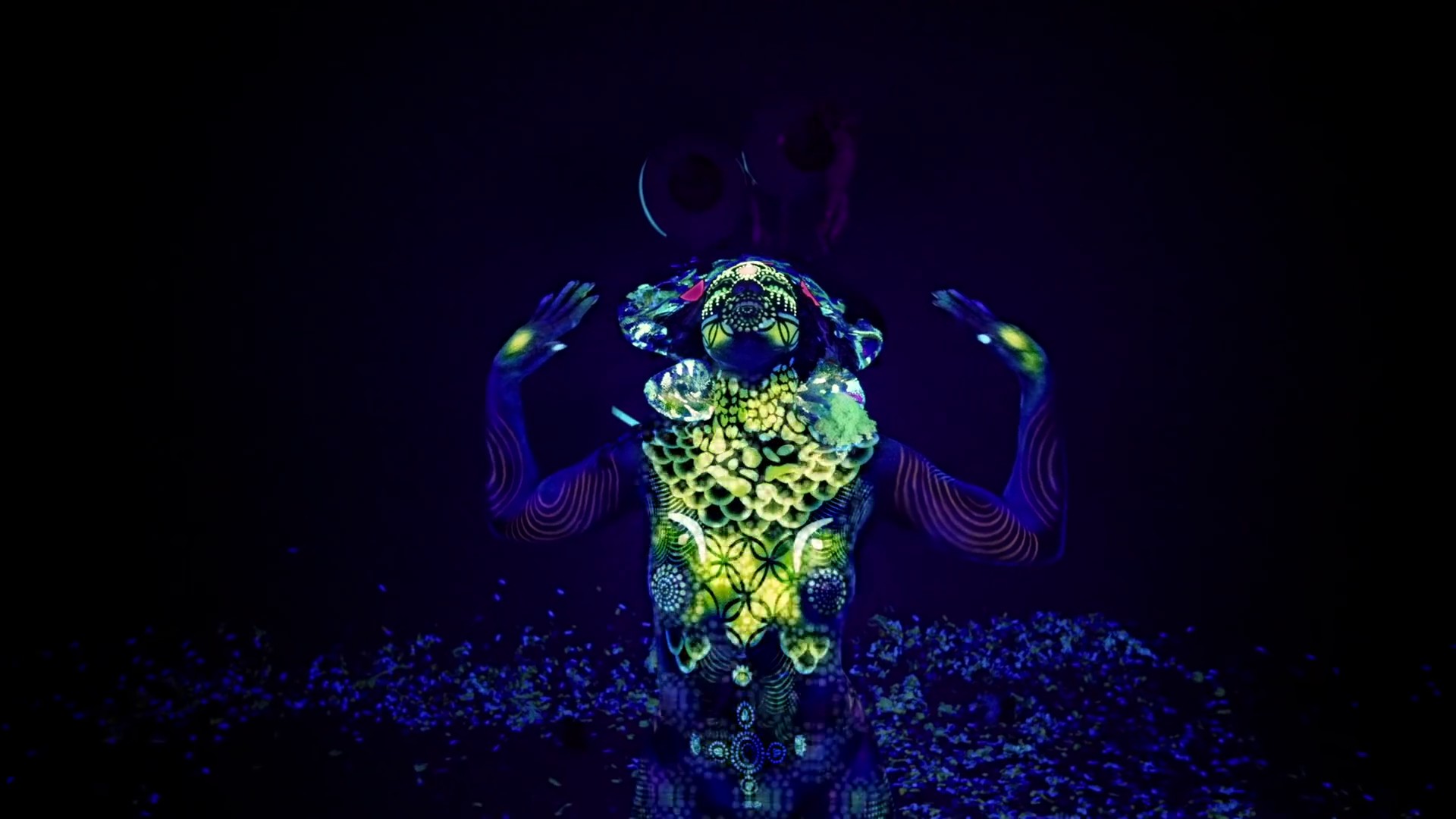 Chameleon (2016) —  shot,  lighting