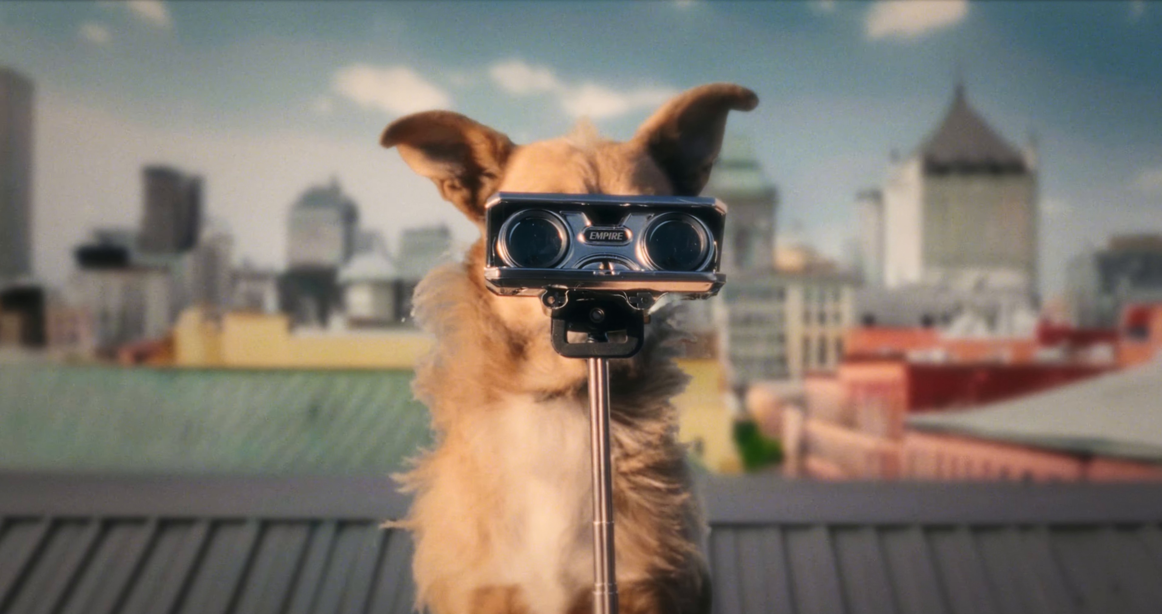 Early Morning Sun (2024) —  shot,  lighting